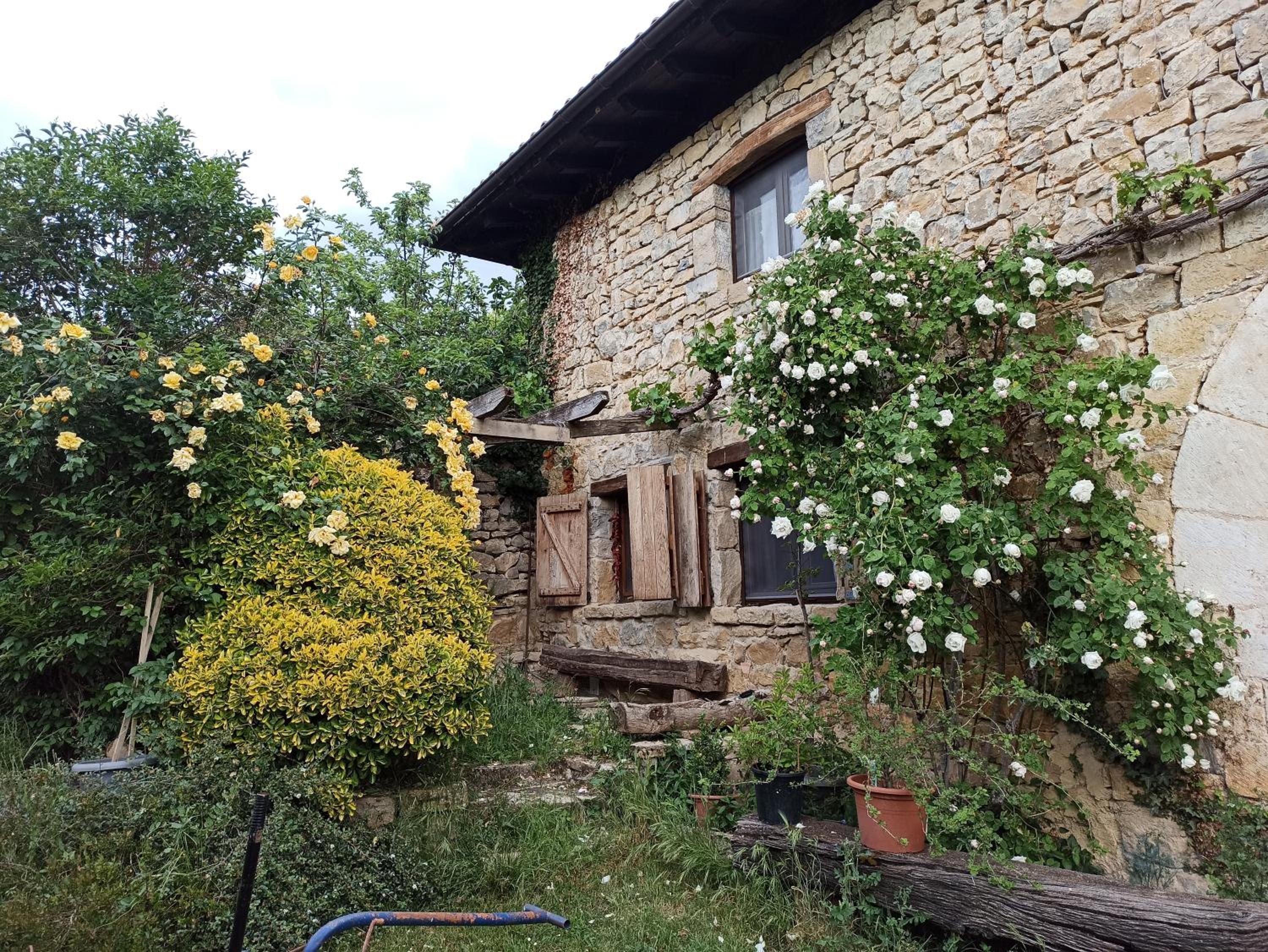 Photo 11