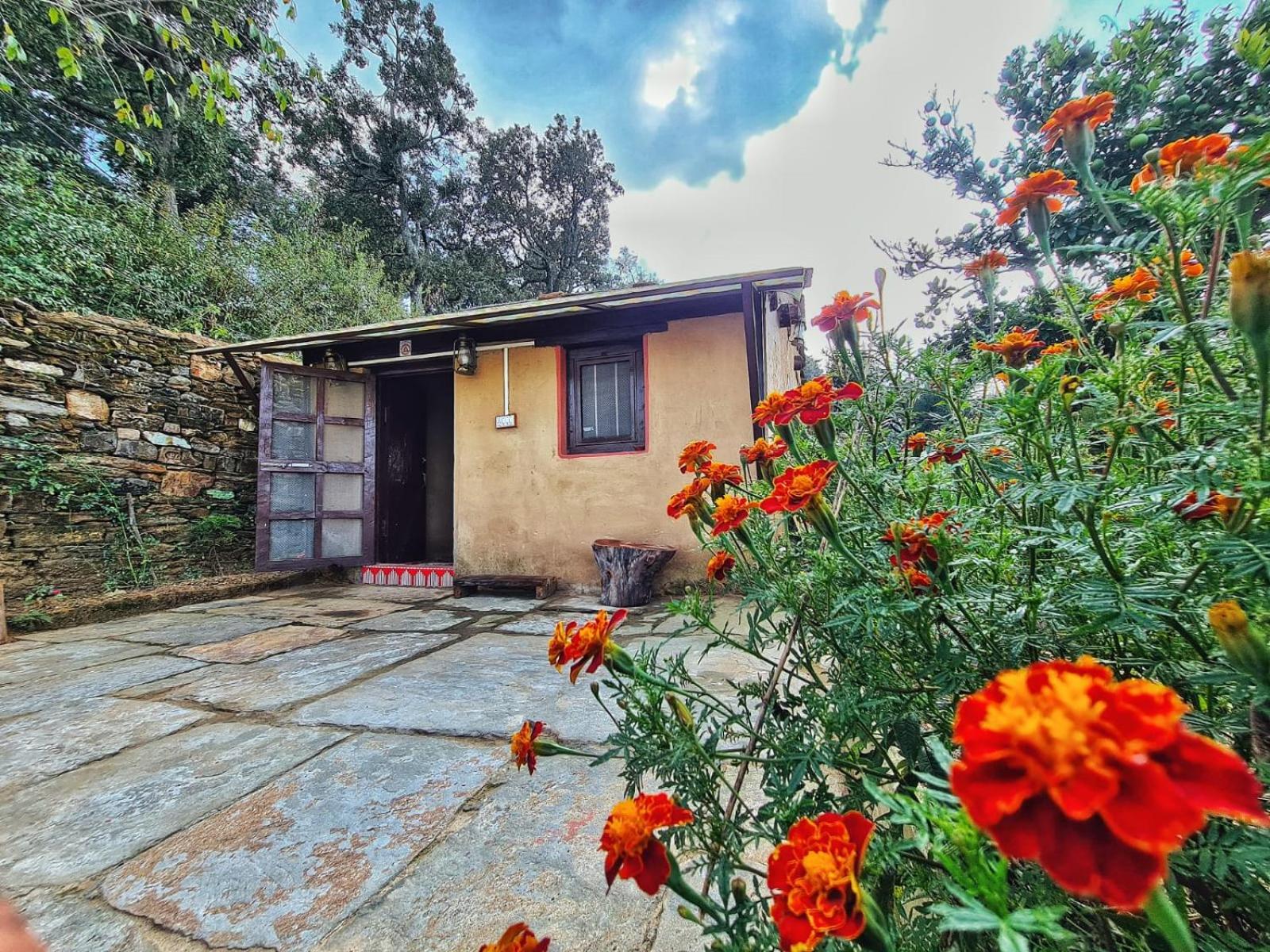 Sharad Stay's Binsar Himalayas Almora view 4