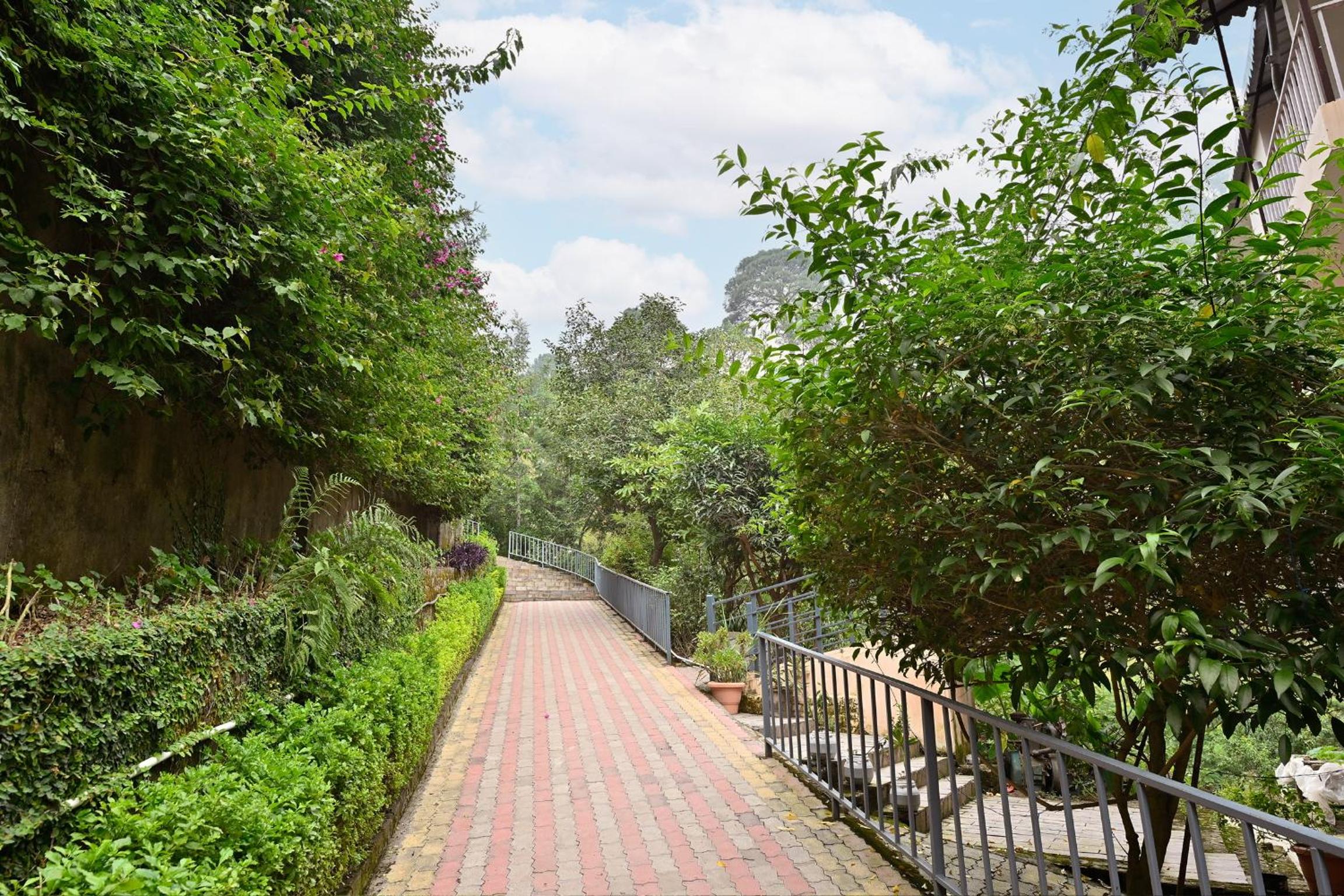 Mantarang Stays Kasauli view 3