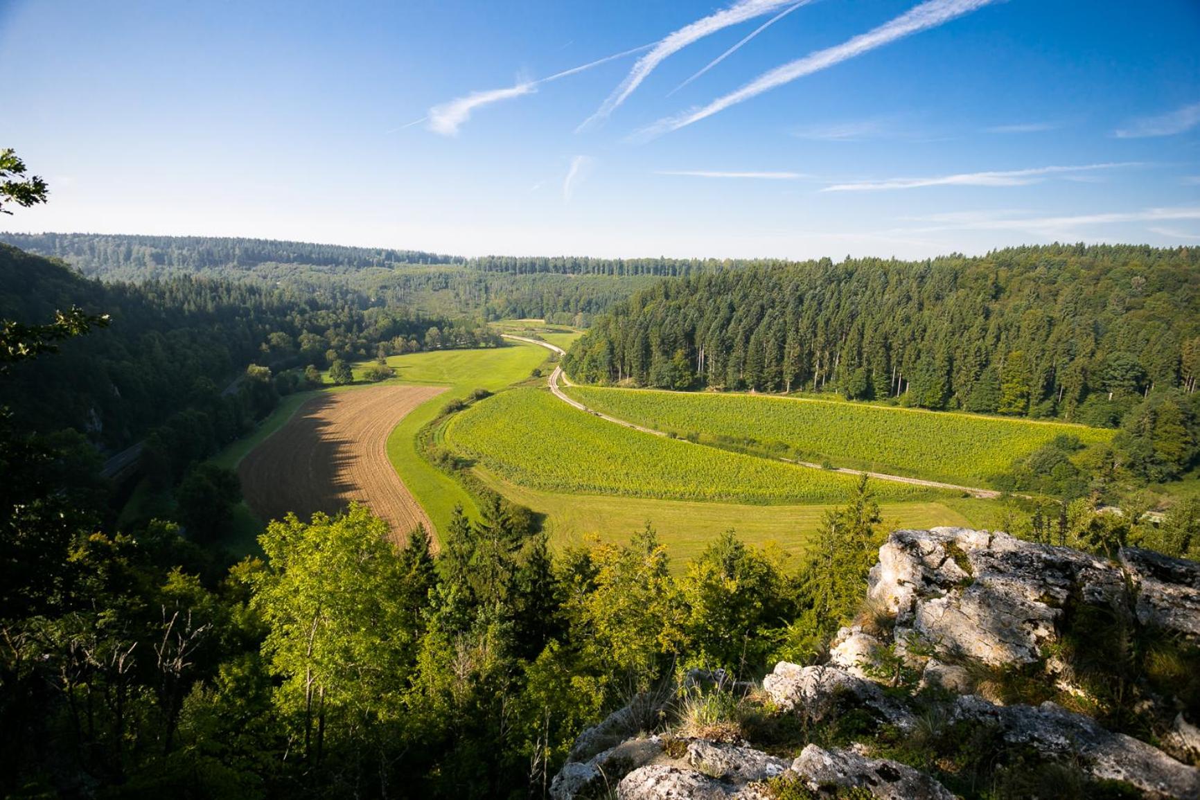 Haus Wiesengrund - Hundefreundlich view 4