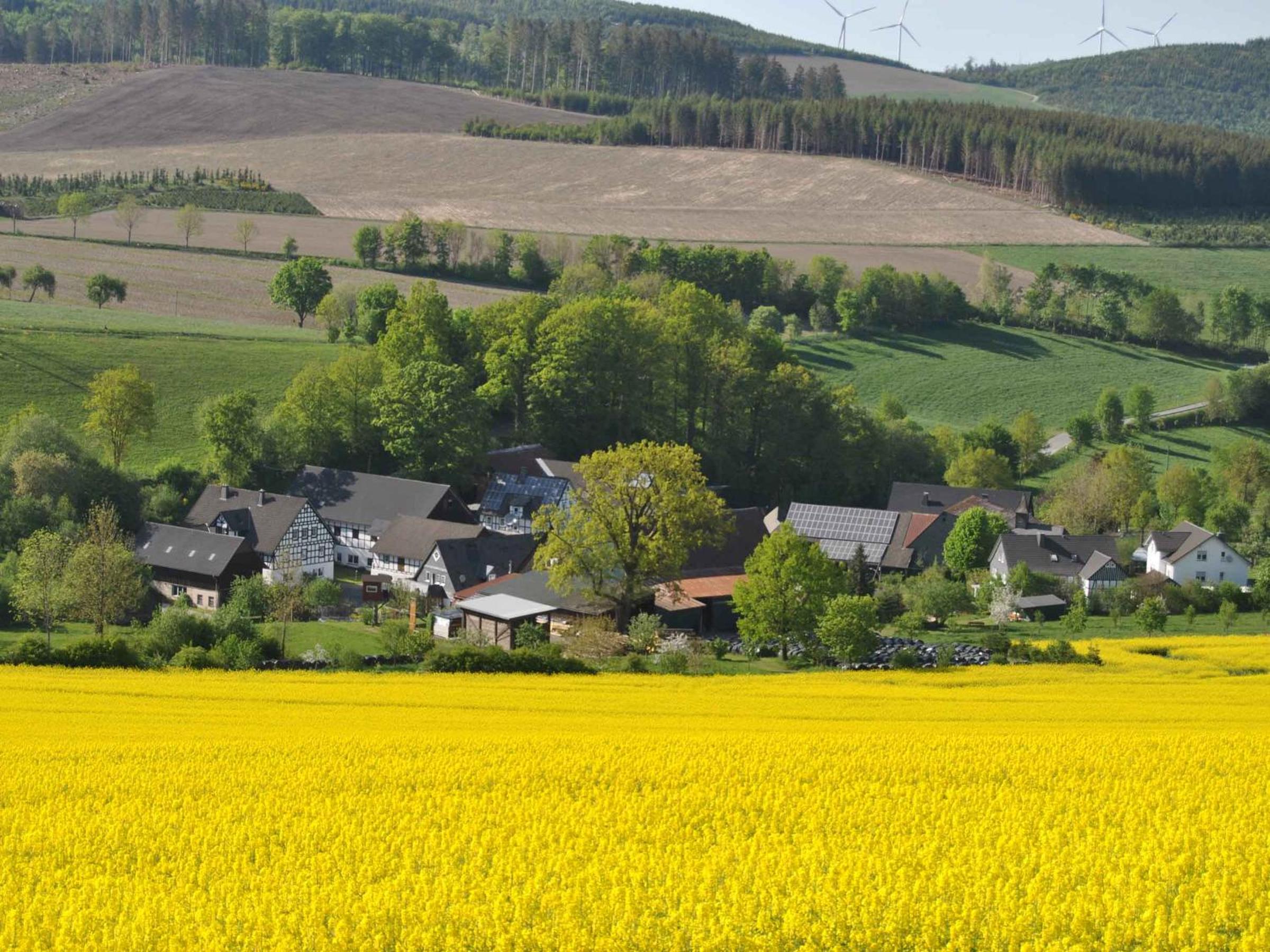 Ferienwohnungen Übern Hof