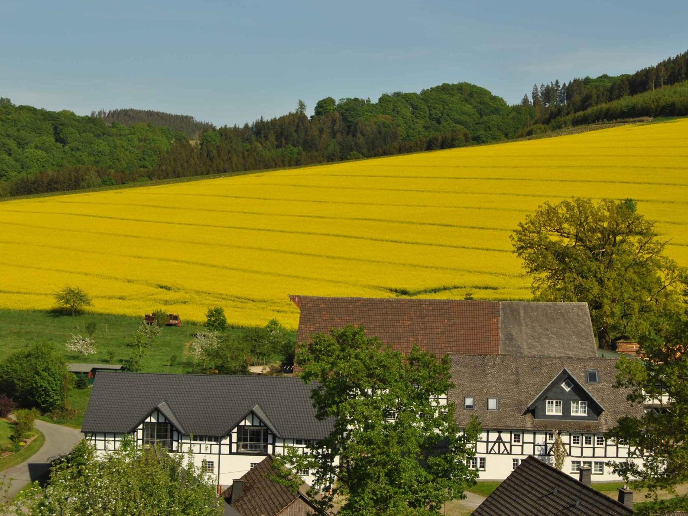 Ferienwohnungen Übern Hof