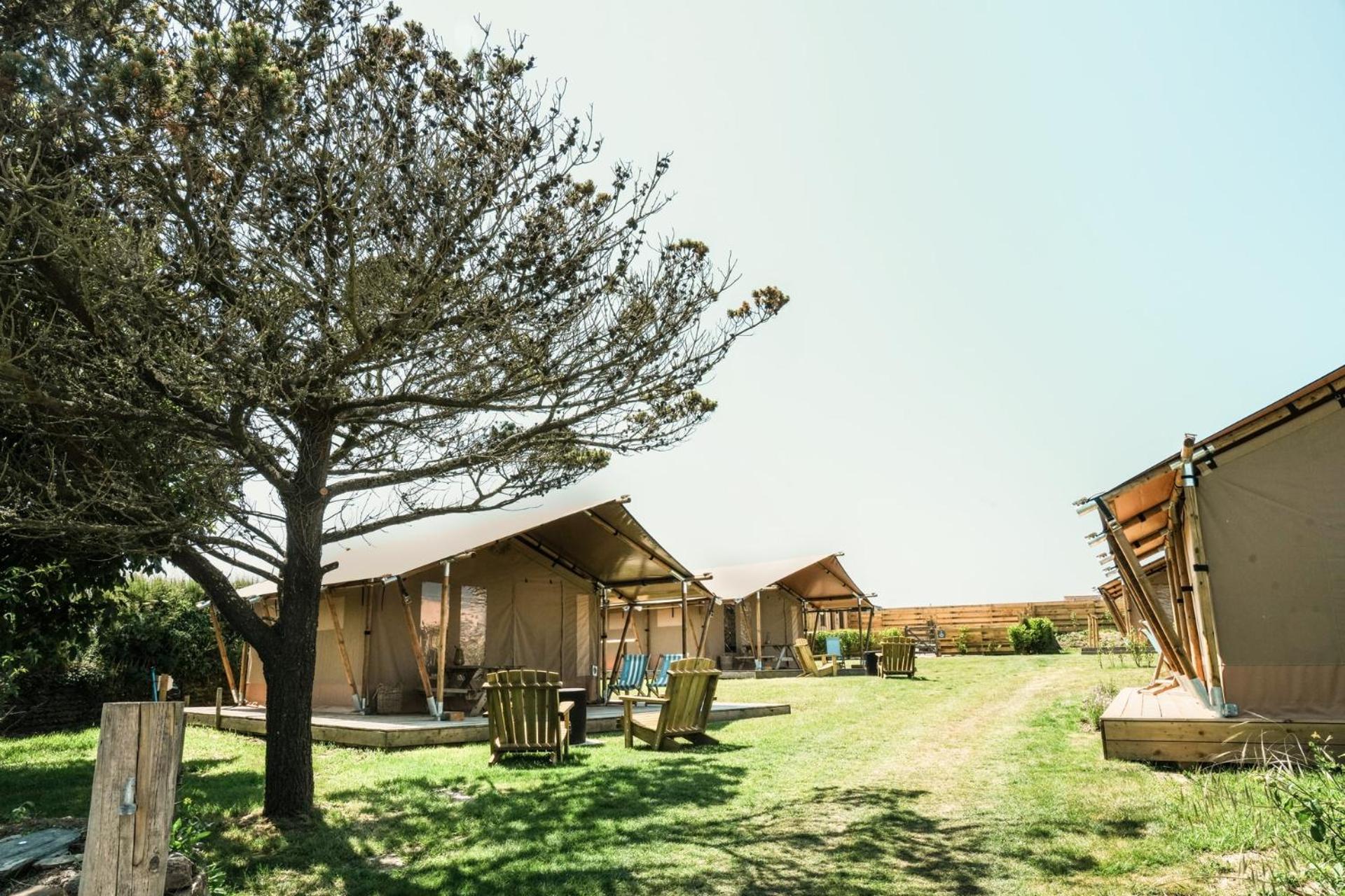 Glamping at Macdonald's Farm view 3
