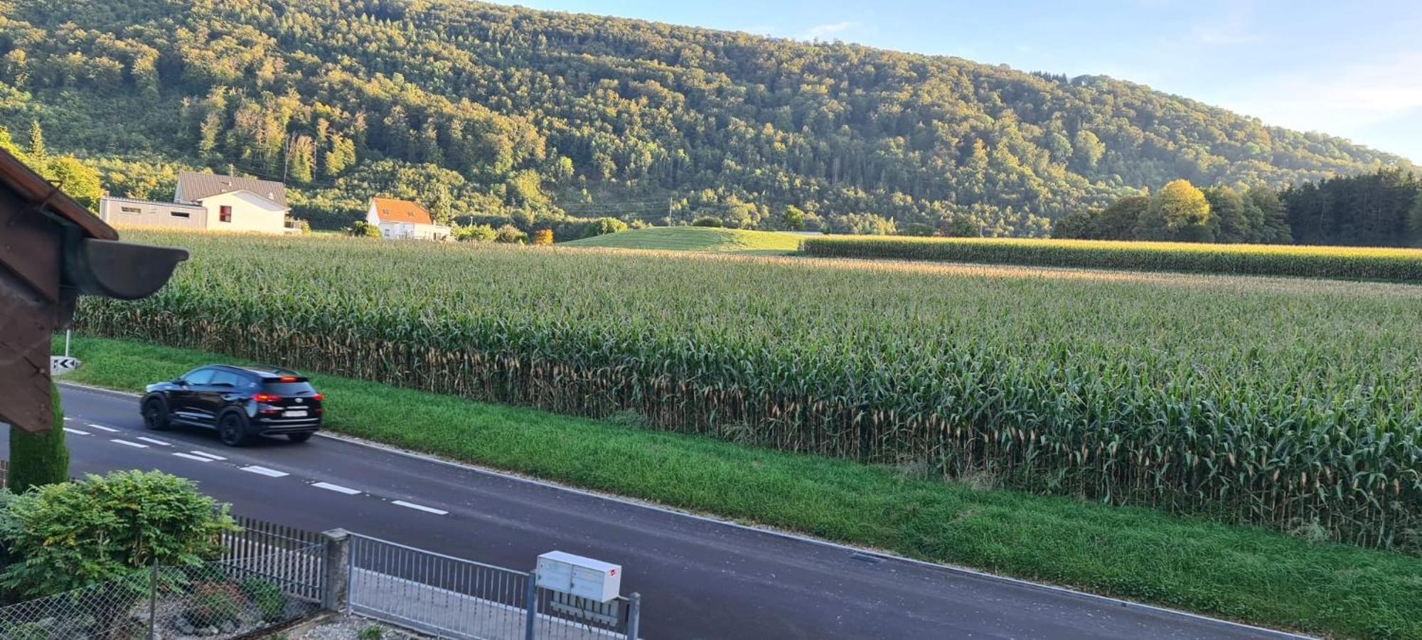 Edel Apartments Dulliken