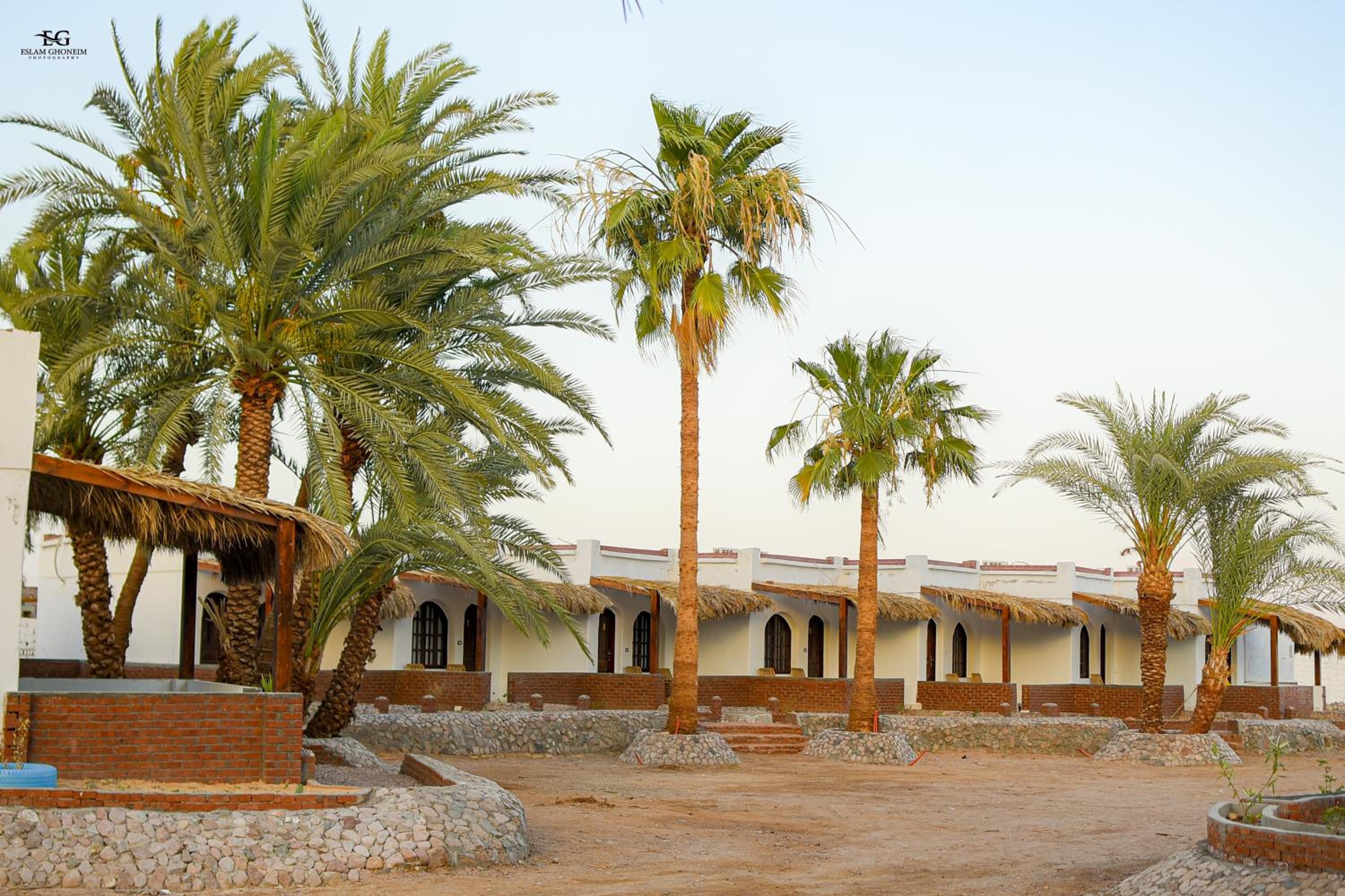 Palm Valley camp