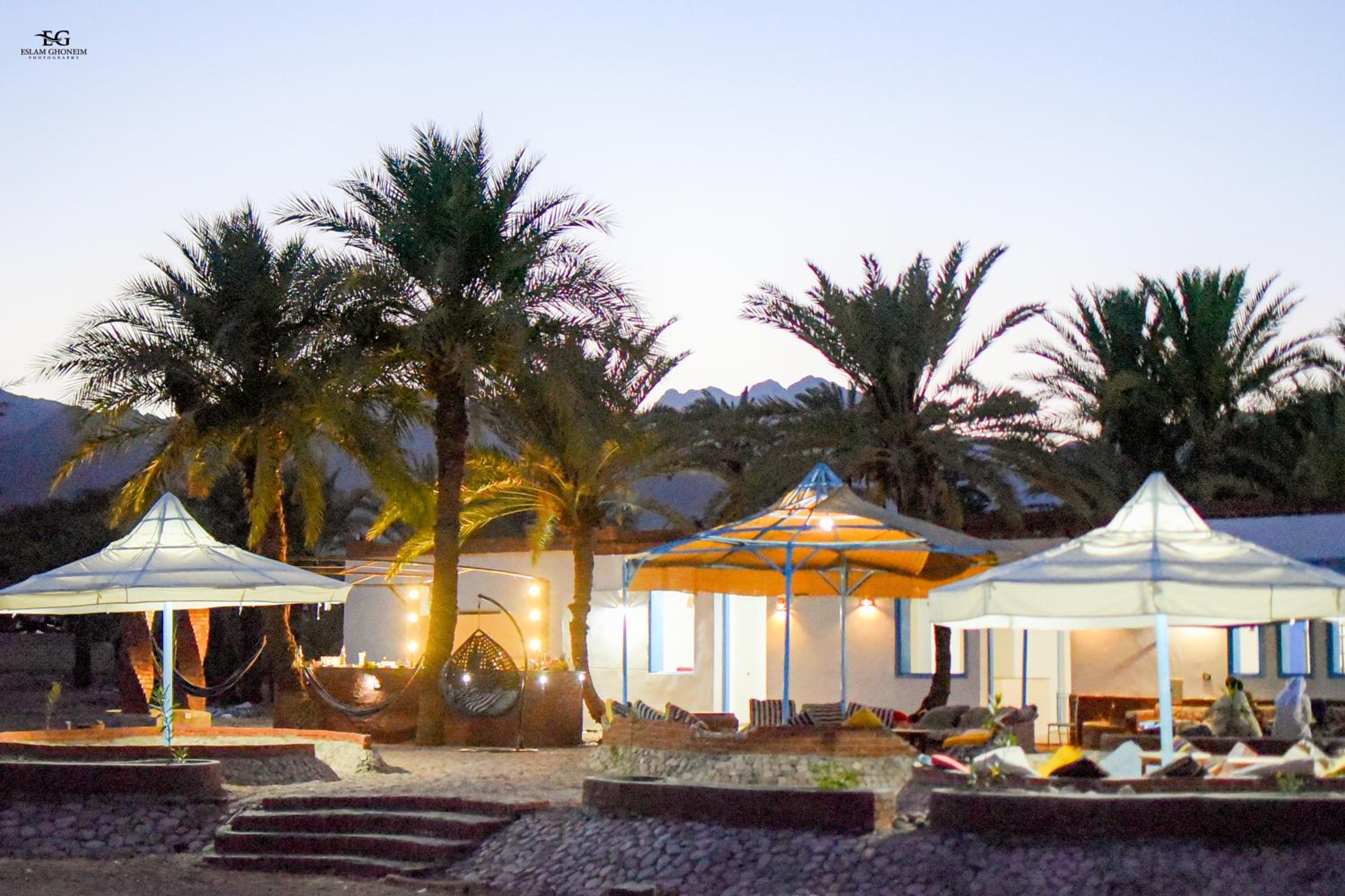 Palm Valley camp