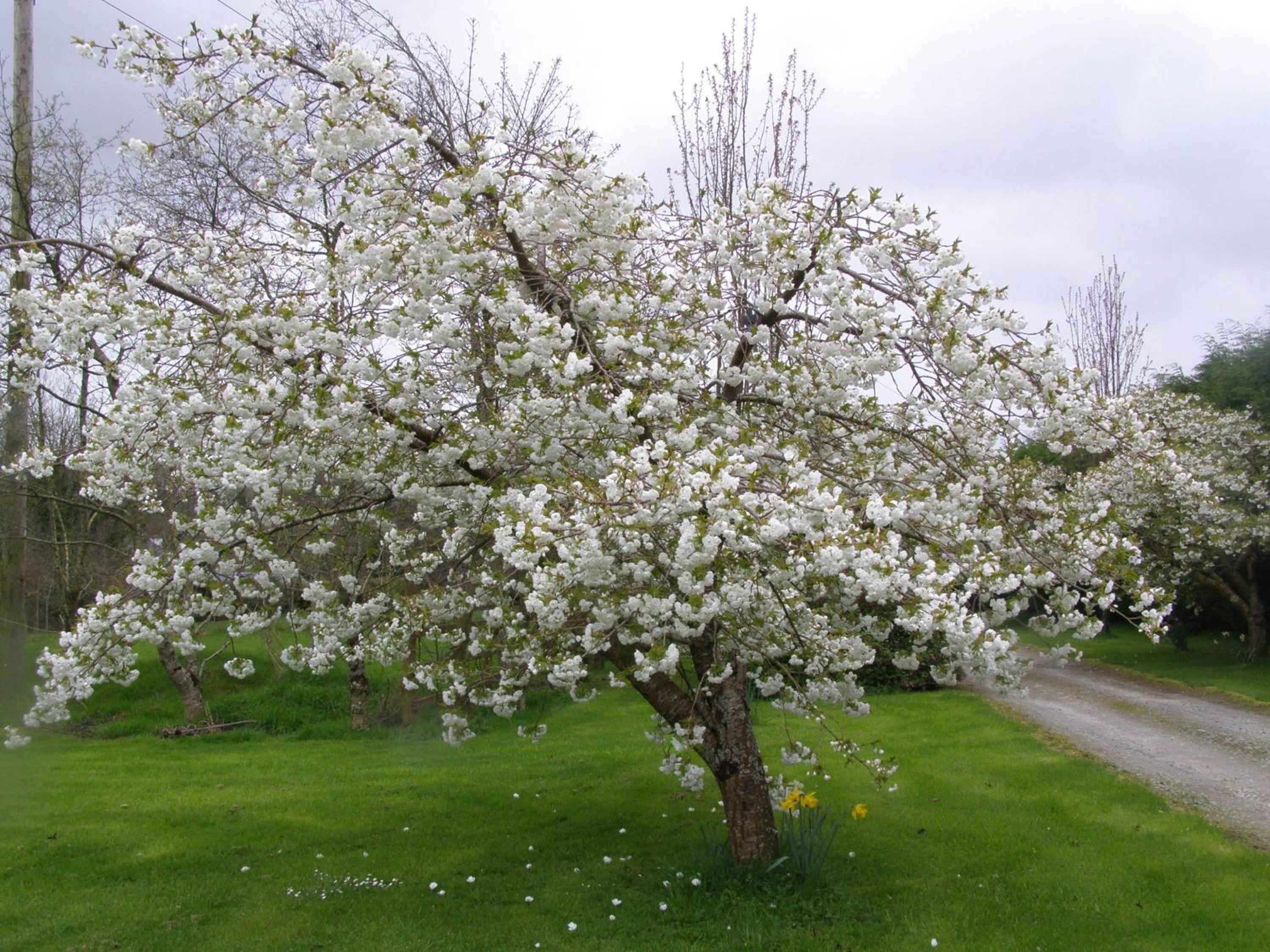 Photo 49
