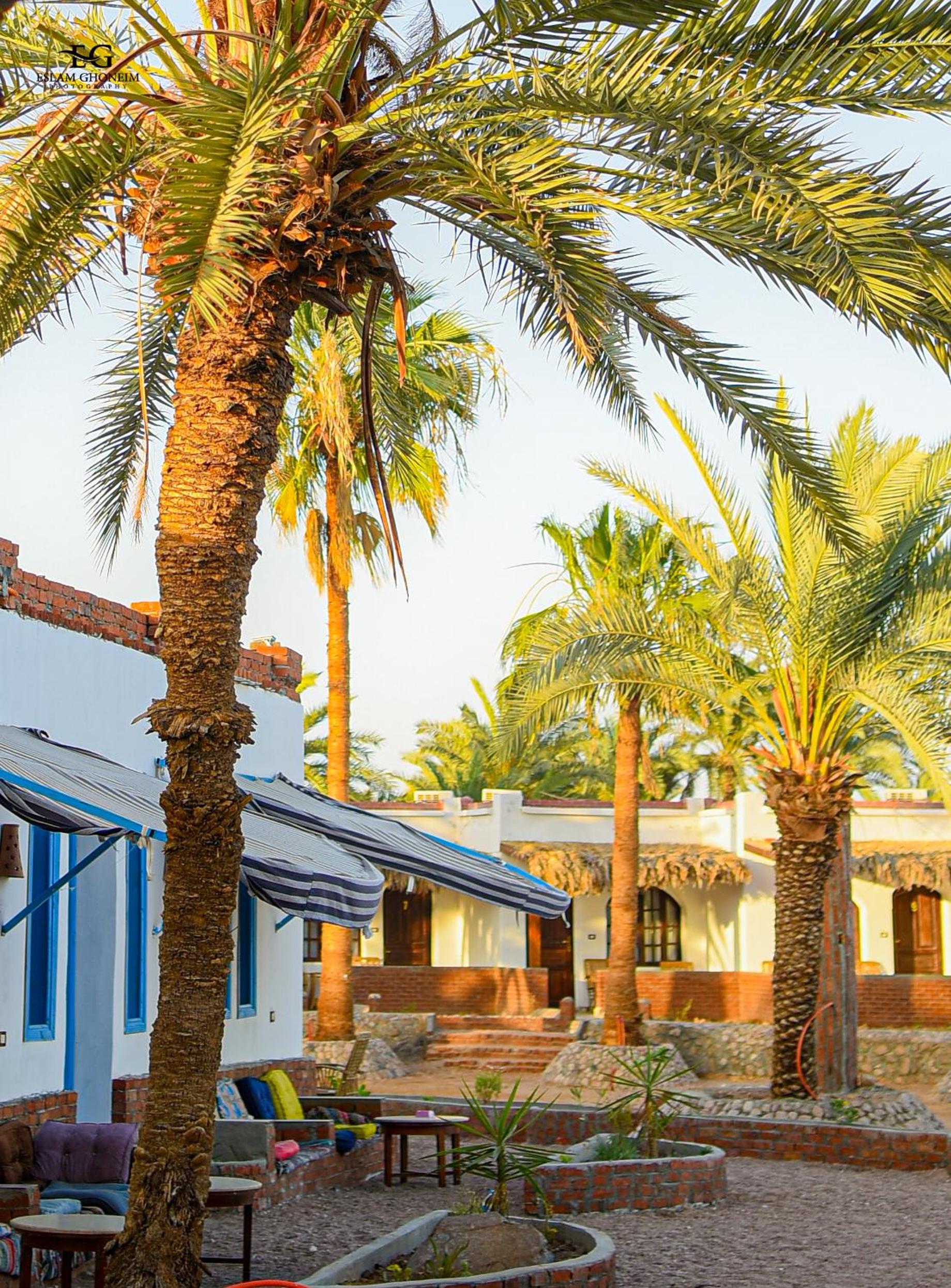 Palm Valley camp