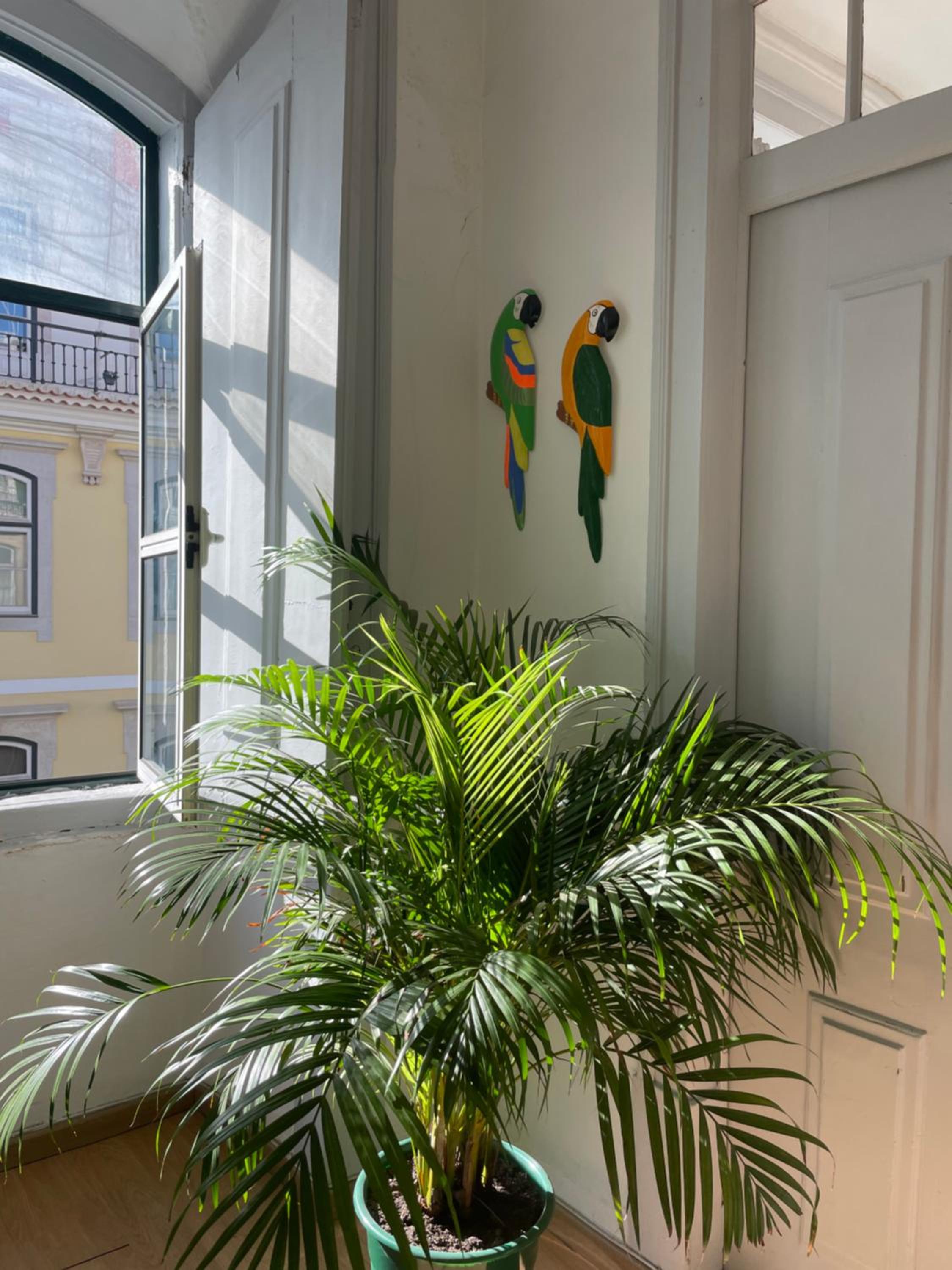 Chiado Home view 5