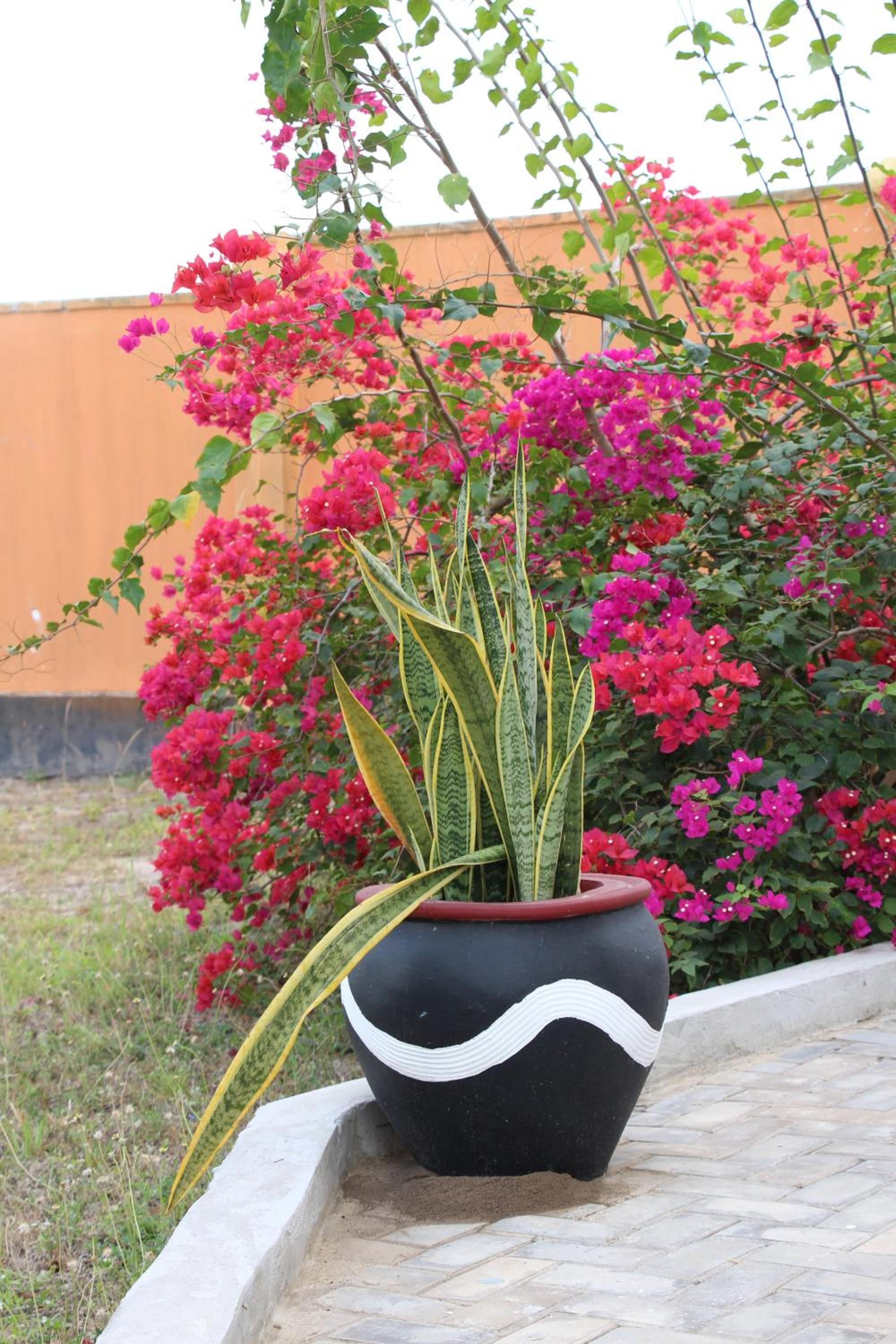 Photo 47