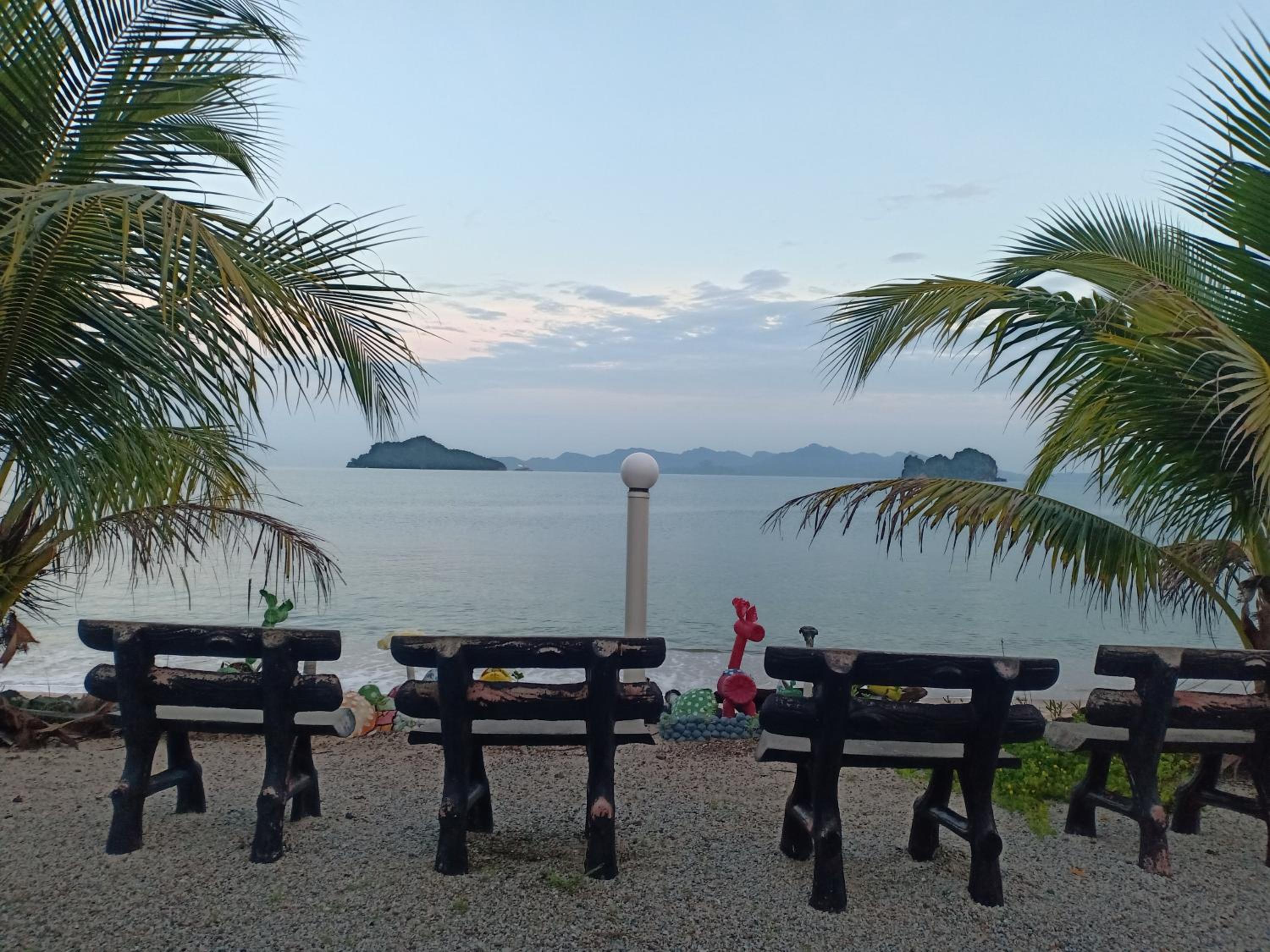 Langkawi Primrose photo 5