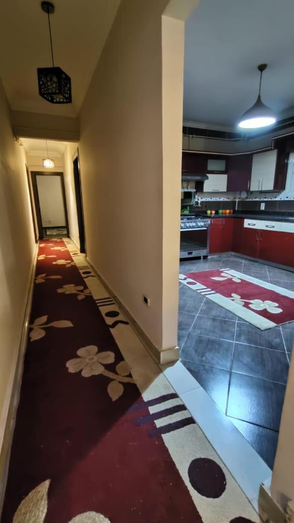 Modern Furnitured appartment in New Cairo