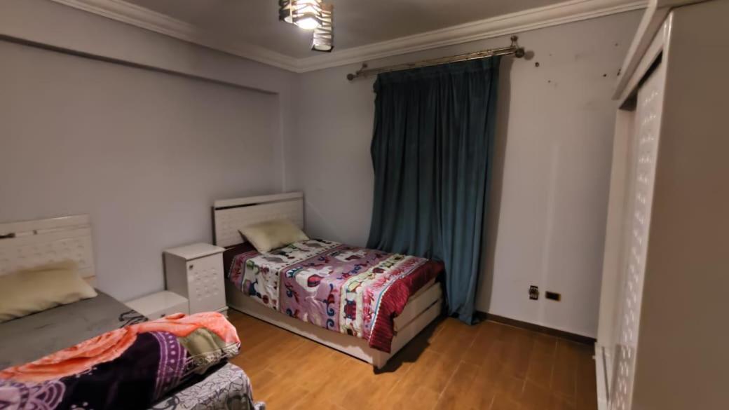 Modern Furnitured appartment in New Cairo