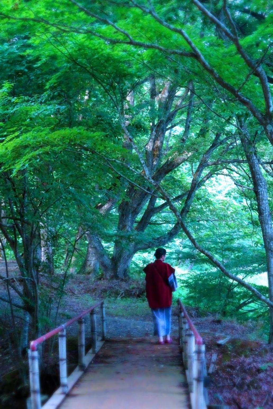 Photo 43
