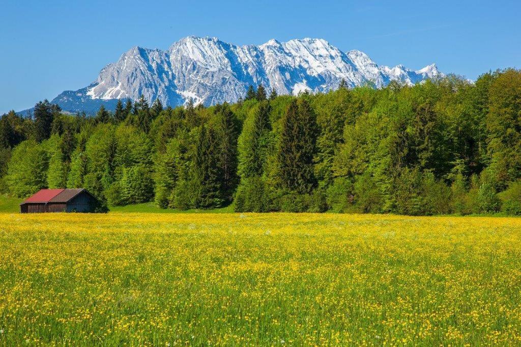 5 Sterne Ferienwohnung in Krün