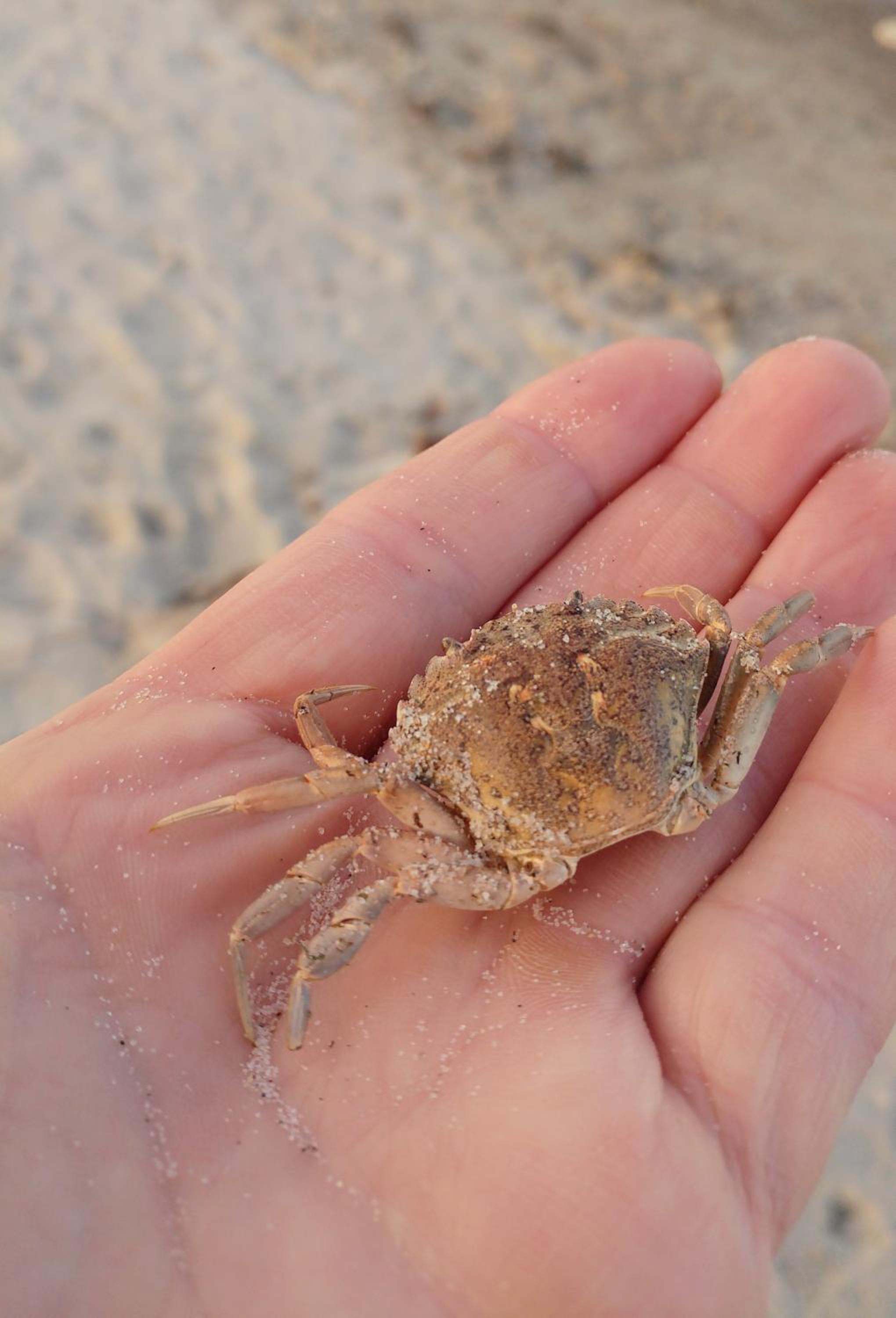 other
