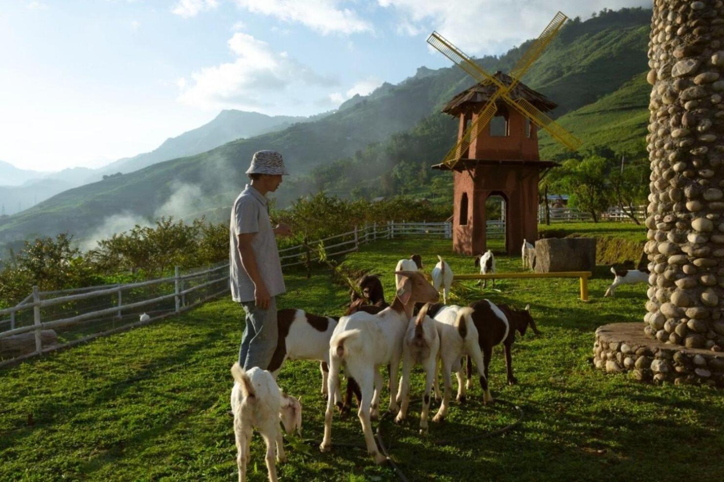 O Châu Homestay Lào Cai view 2