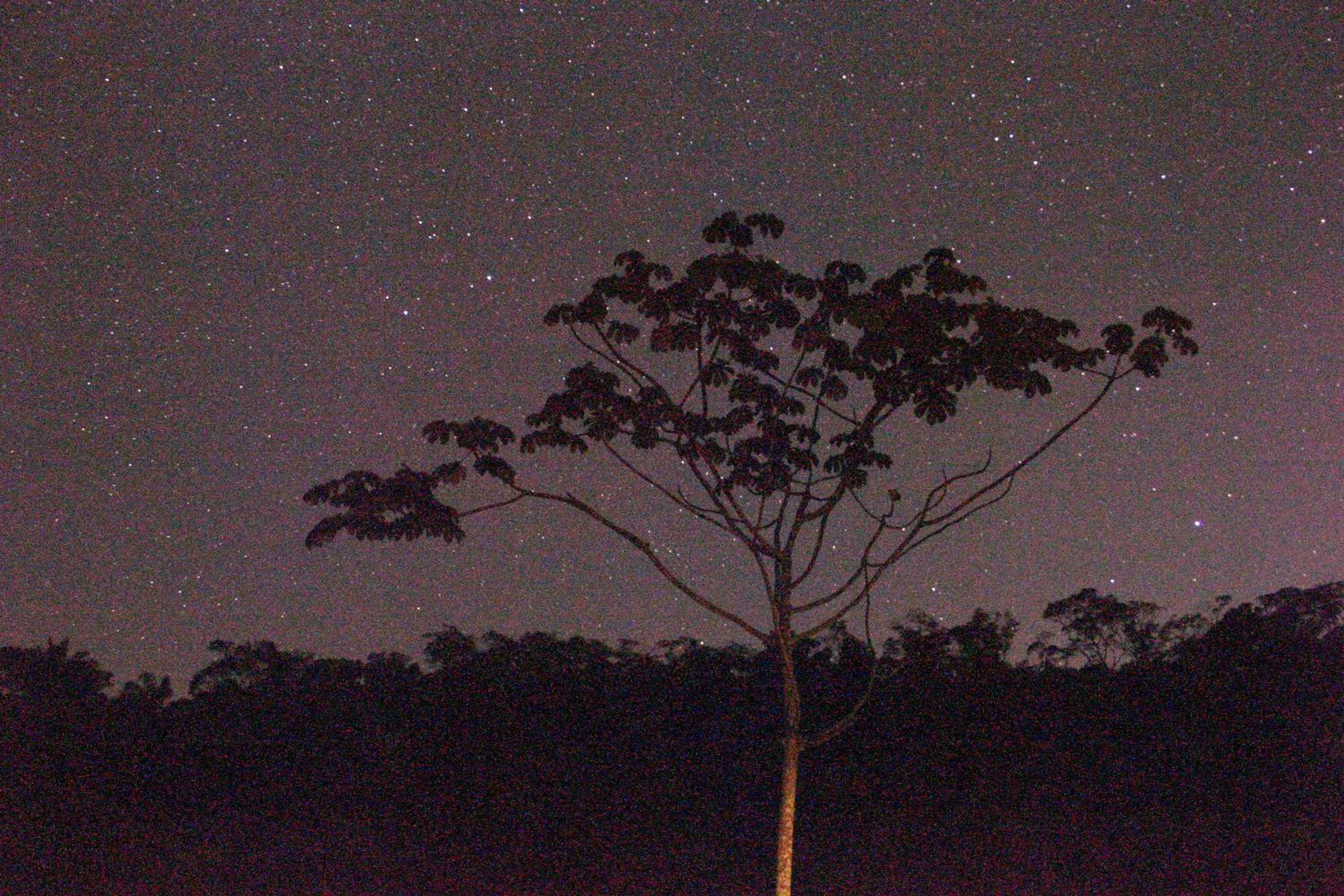 Granja Cruzeiro