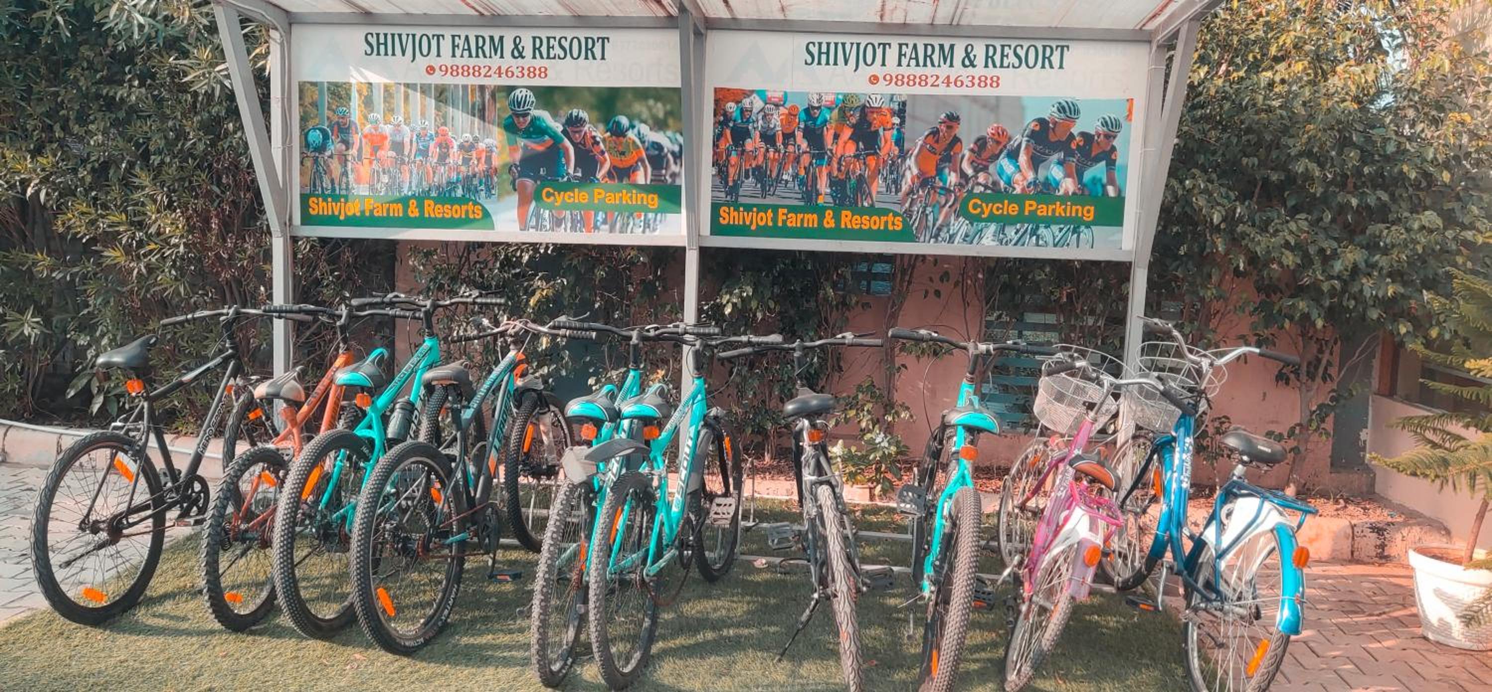 activities & amenities