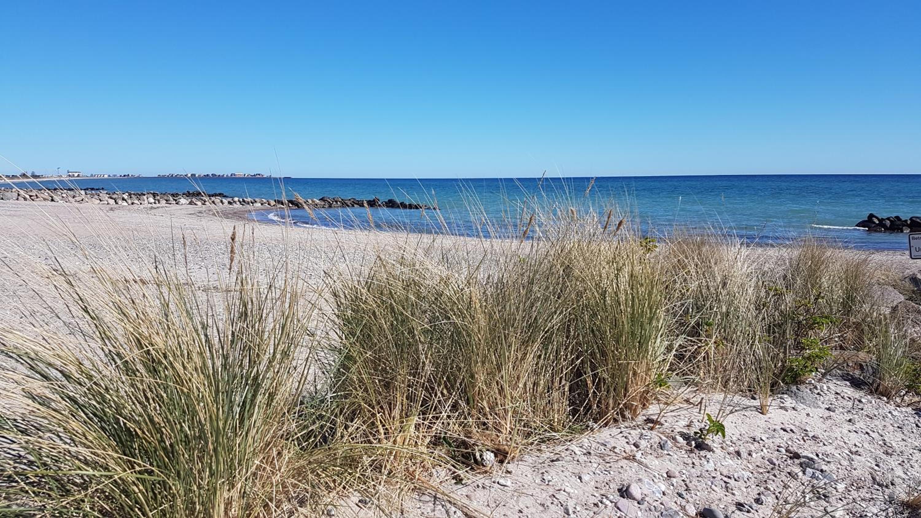 Ferienhaus Strandliebe