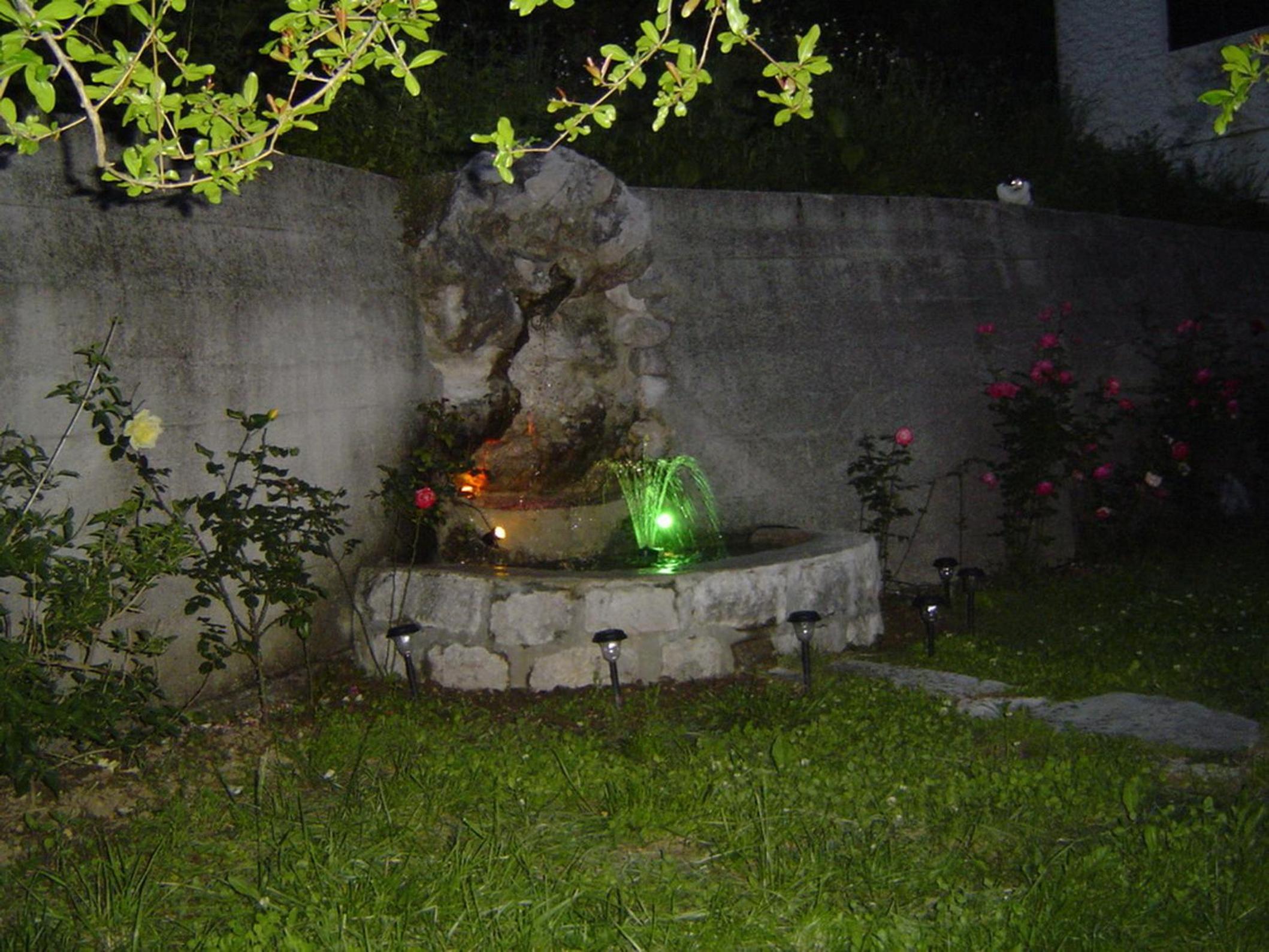 Photo 42