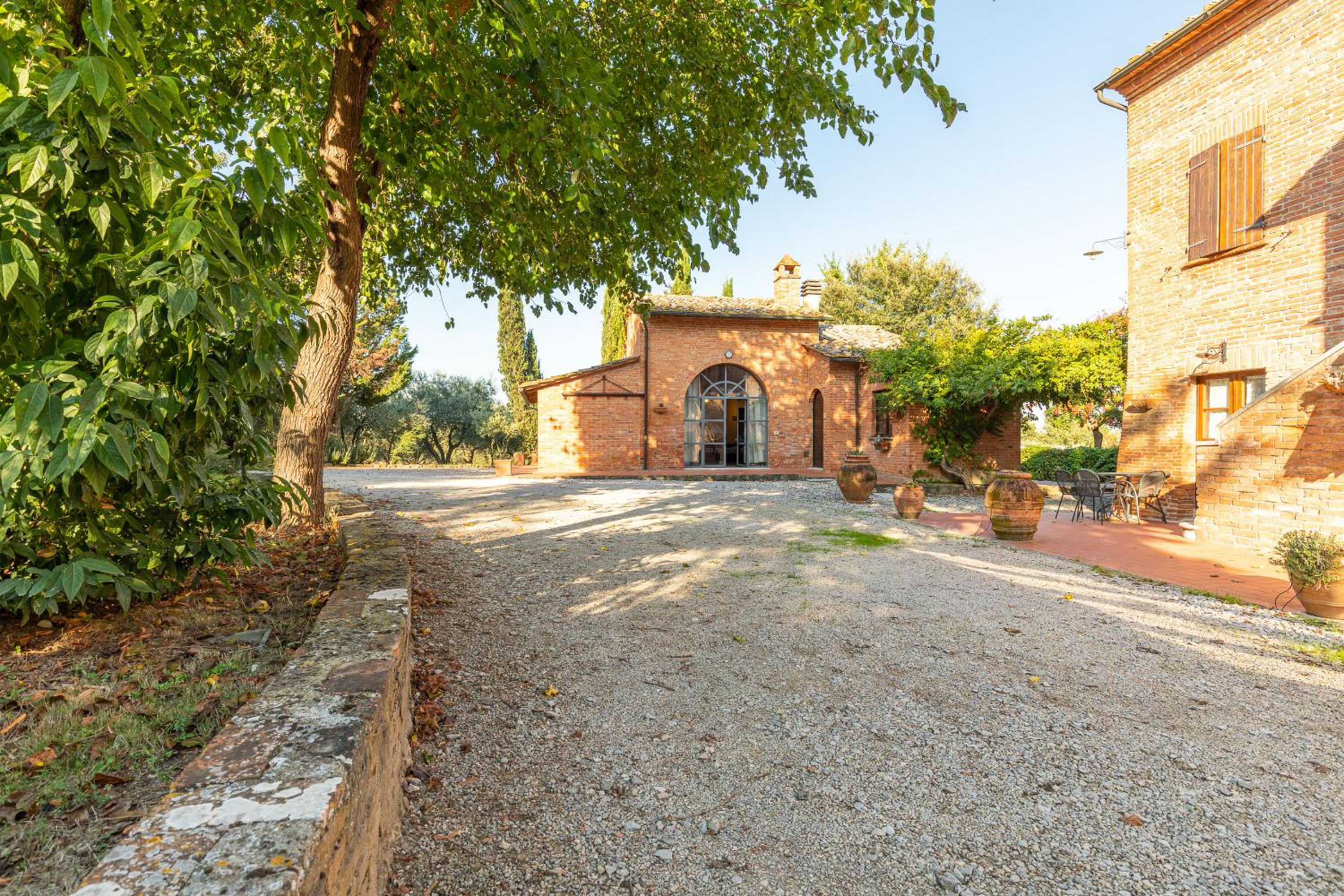 Canaiolo