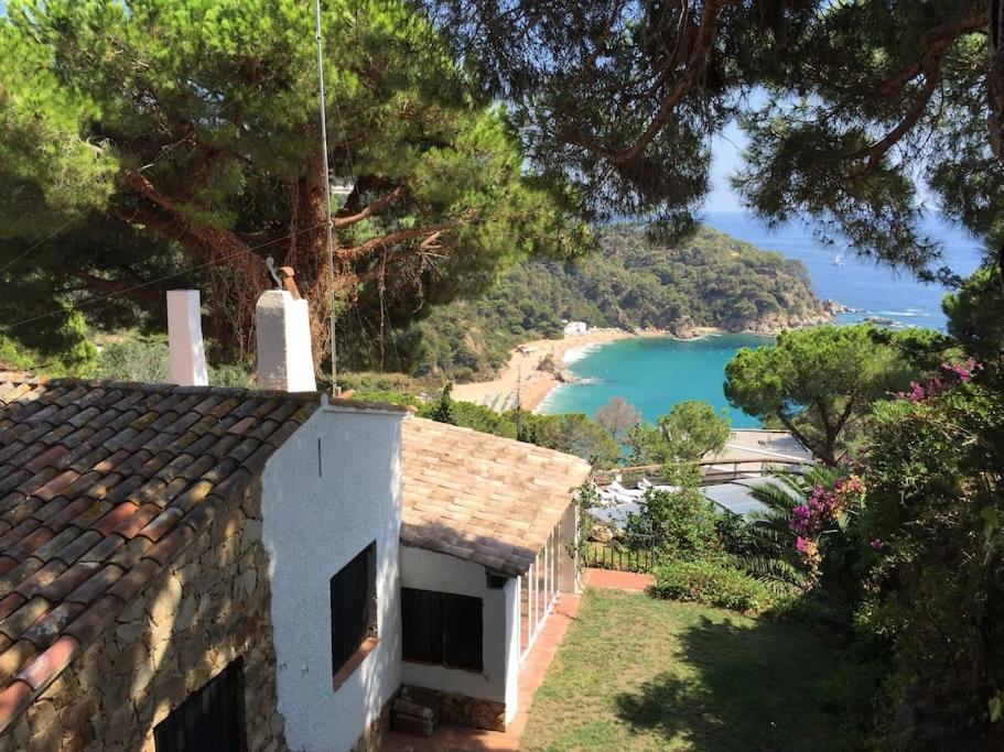 Villa Mitjorn Cala Canyelles