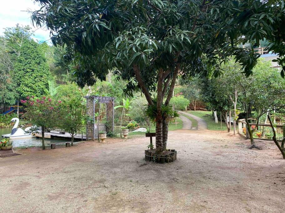 Sítio Família Buscapé @sitiofamiliabuscape