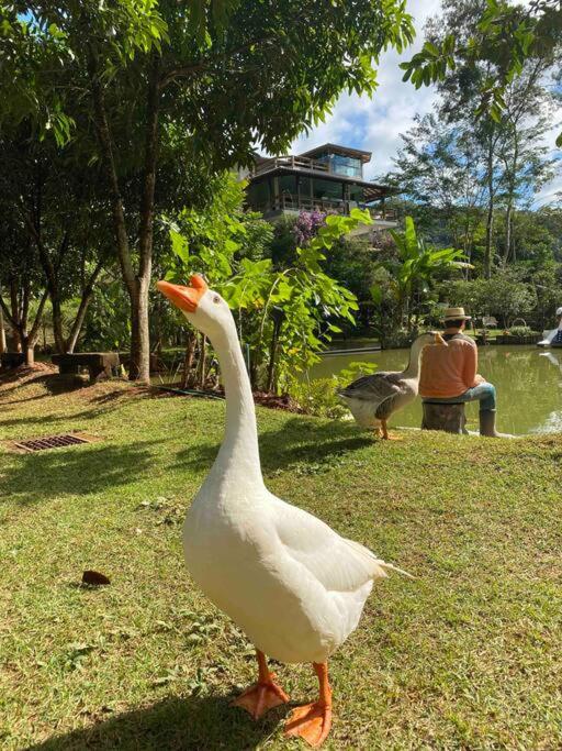 Sítio Família Buscapé @sitiofamiliabuscape