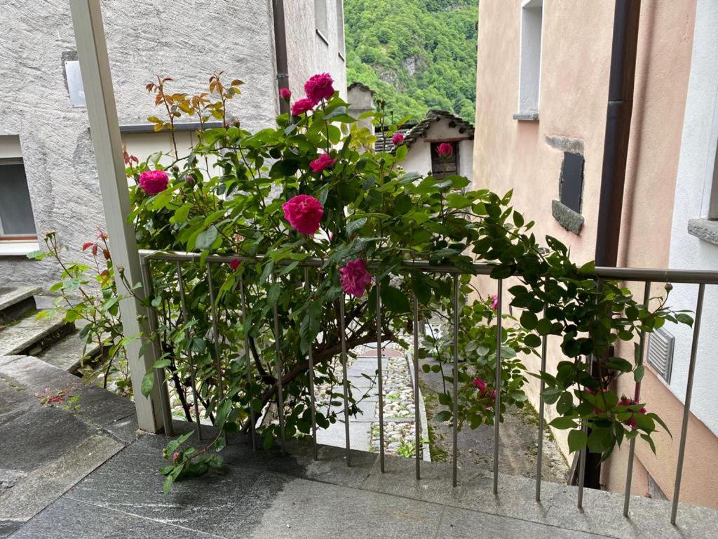 Casa nonna Domenica
