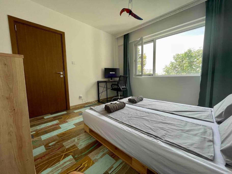 Sunny Seaside Retreat in Burgas