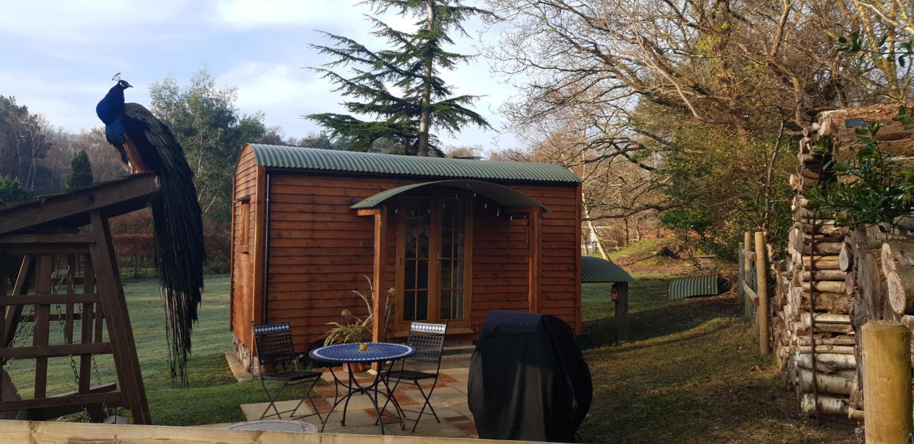 Sika hut view 2