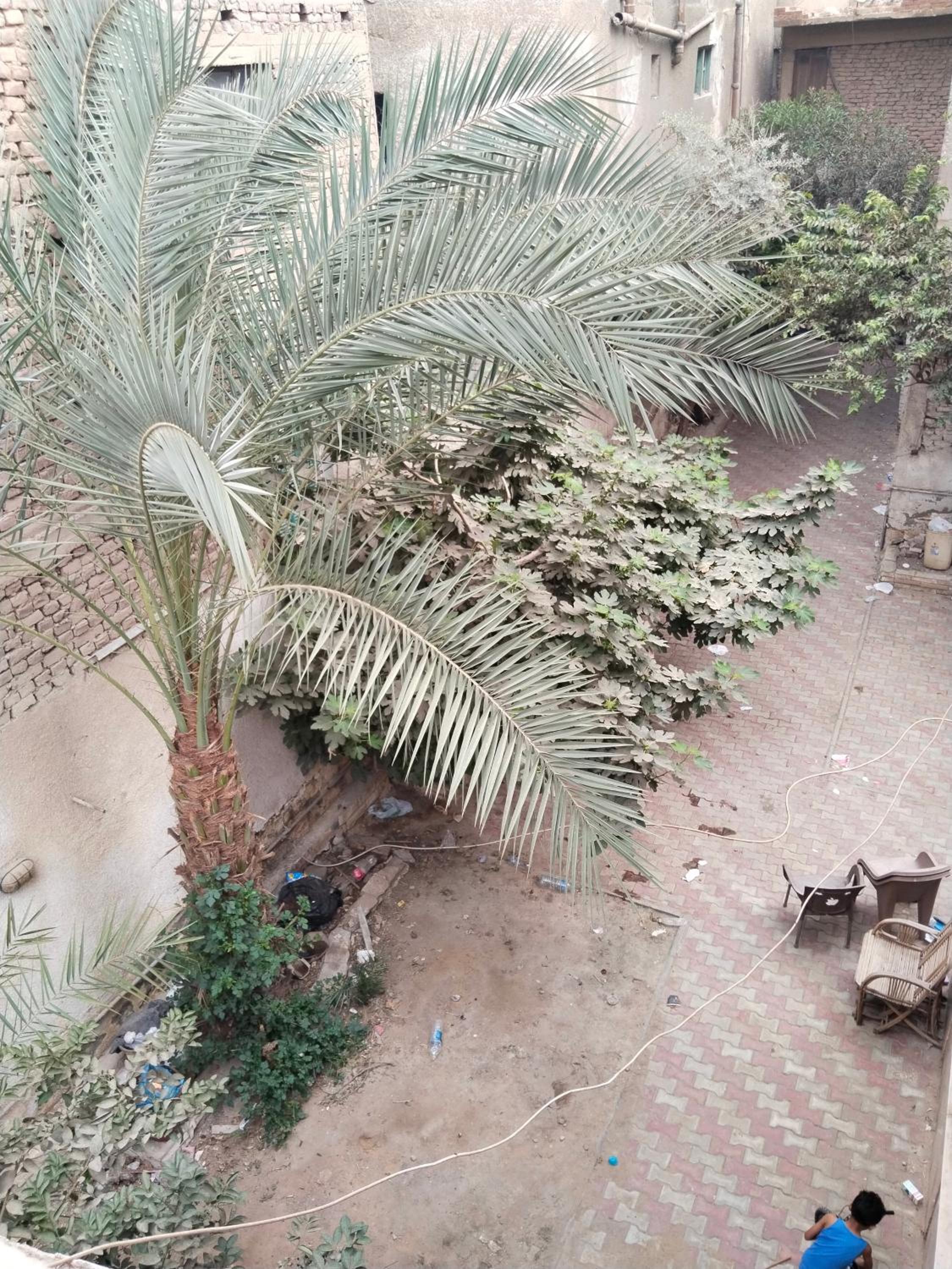 Pyramids view