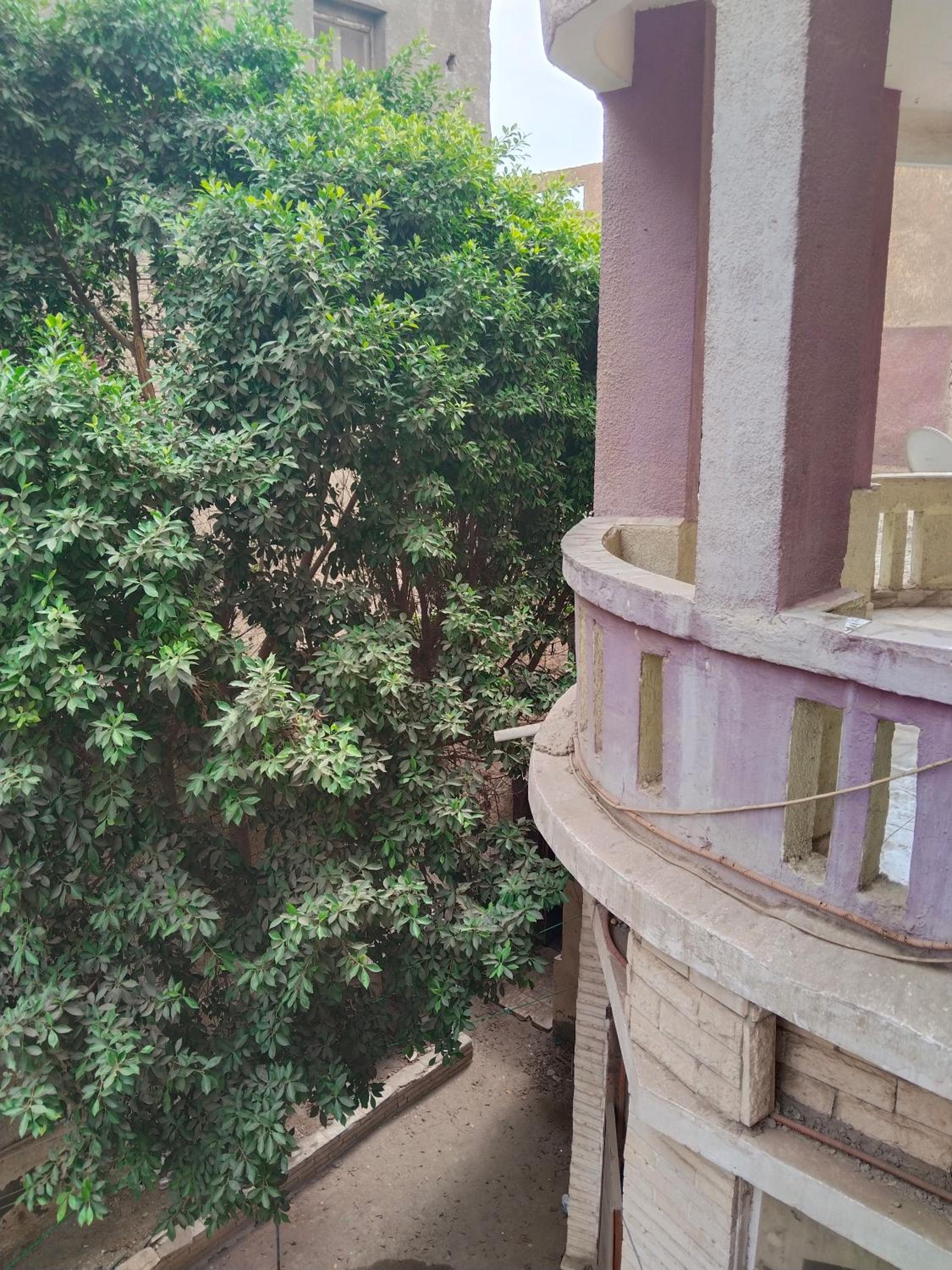 Pyramids view