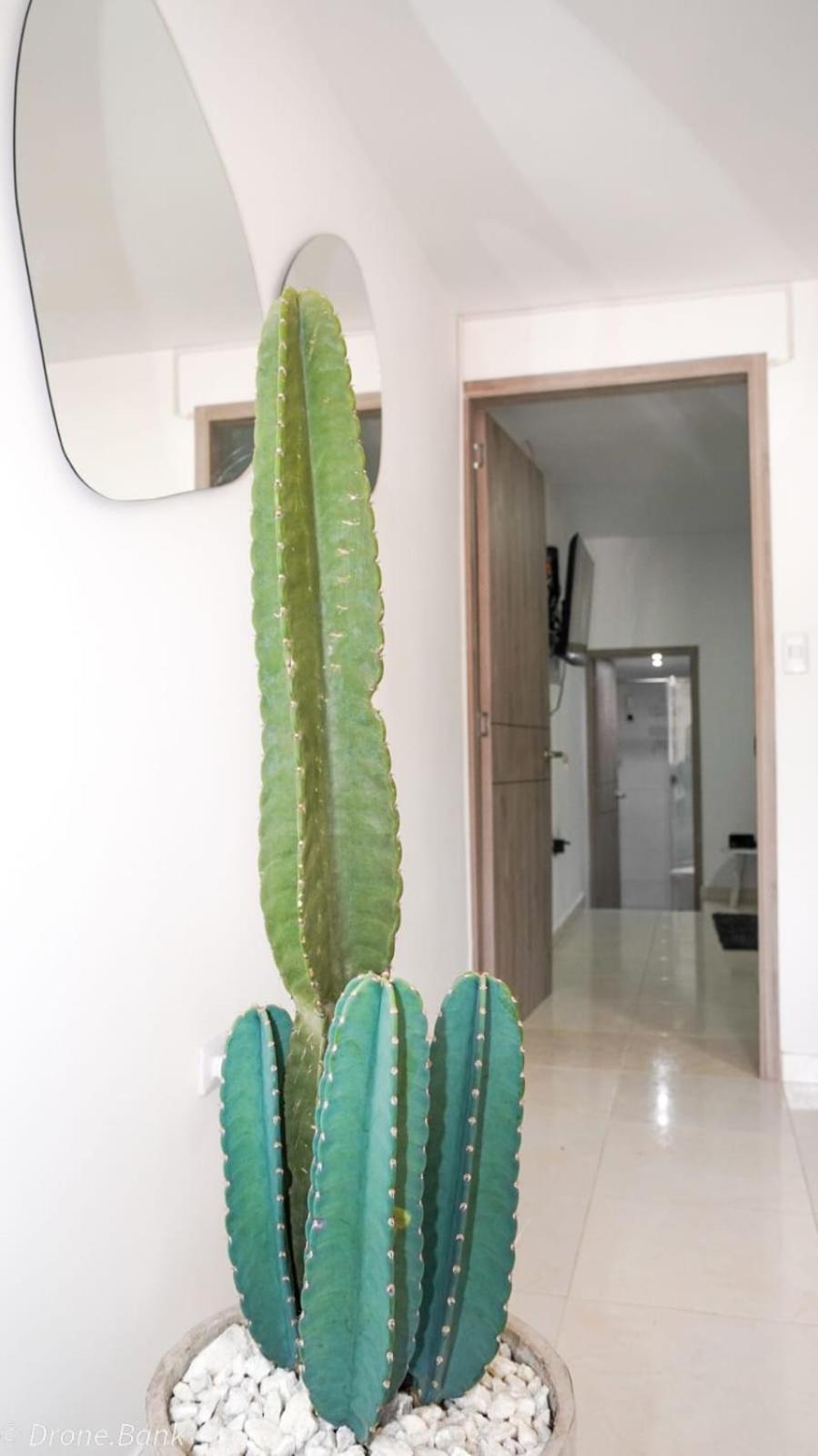 Apartamento céntrico con suave cama y wifi gratuito!
