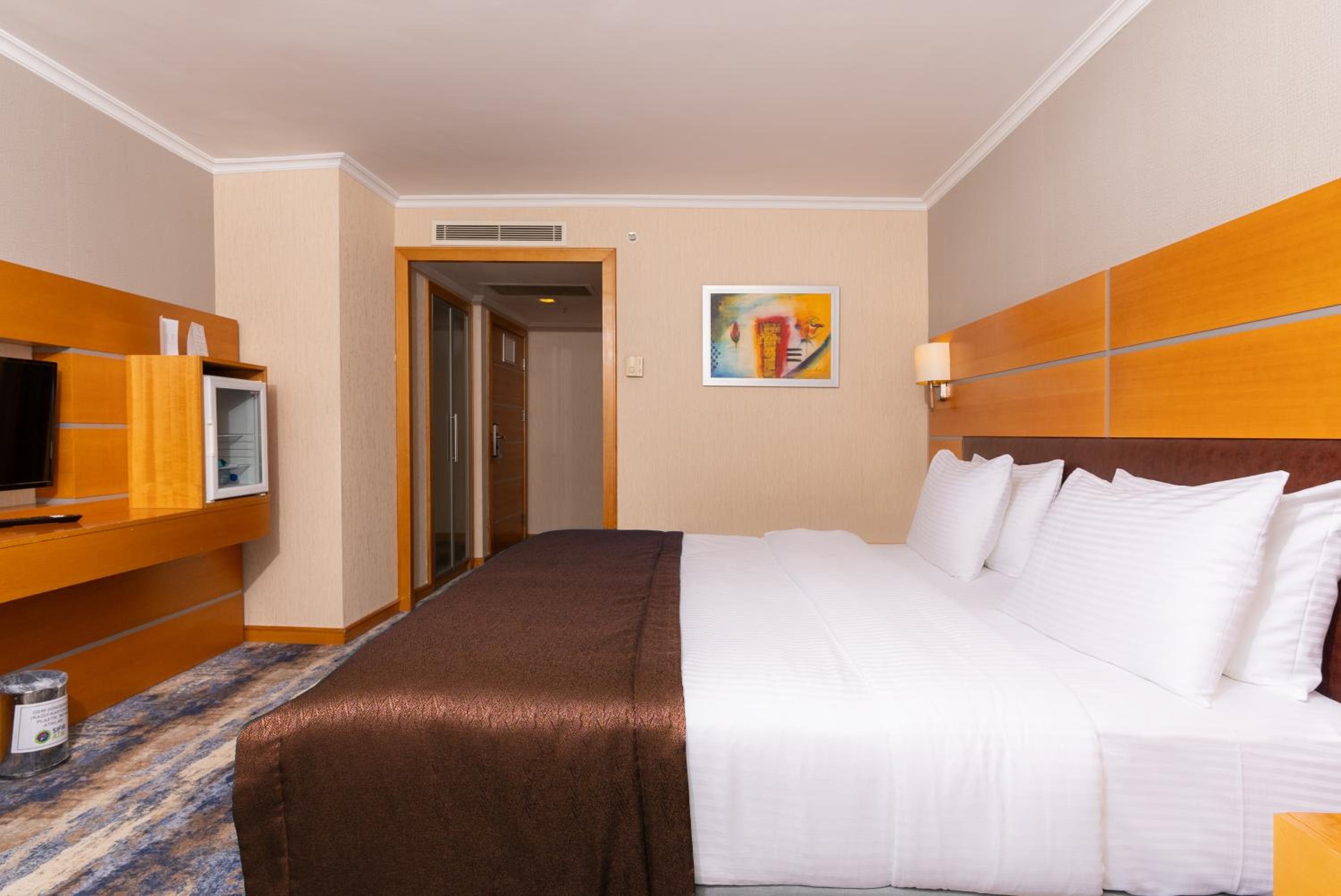 Ankara Plaza Hotel - Image 10