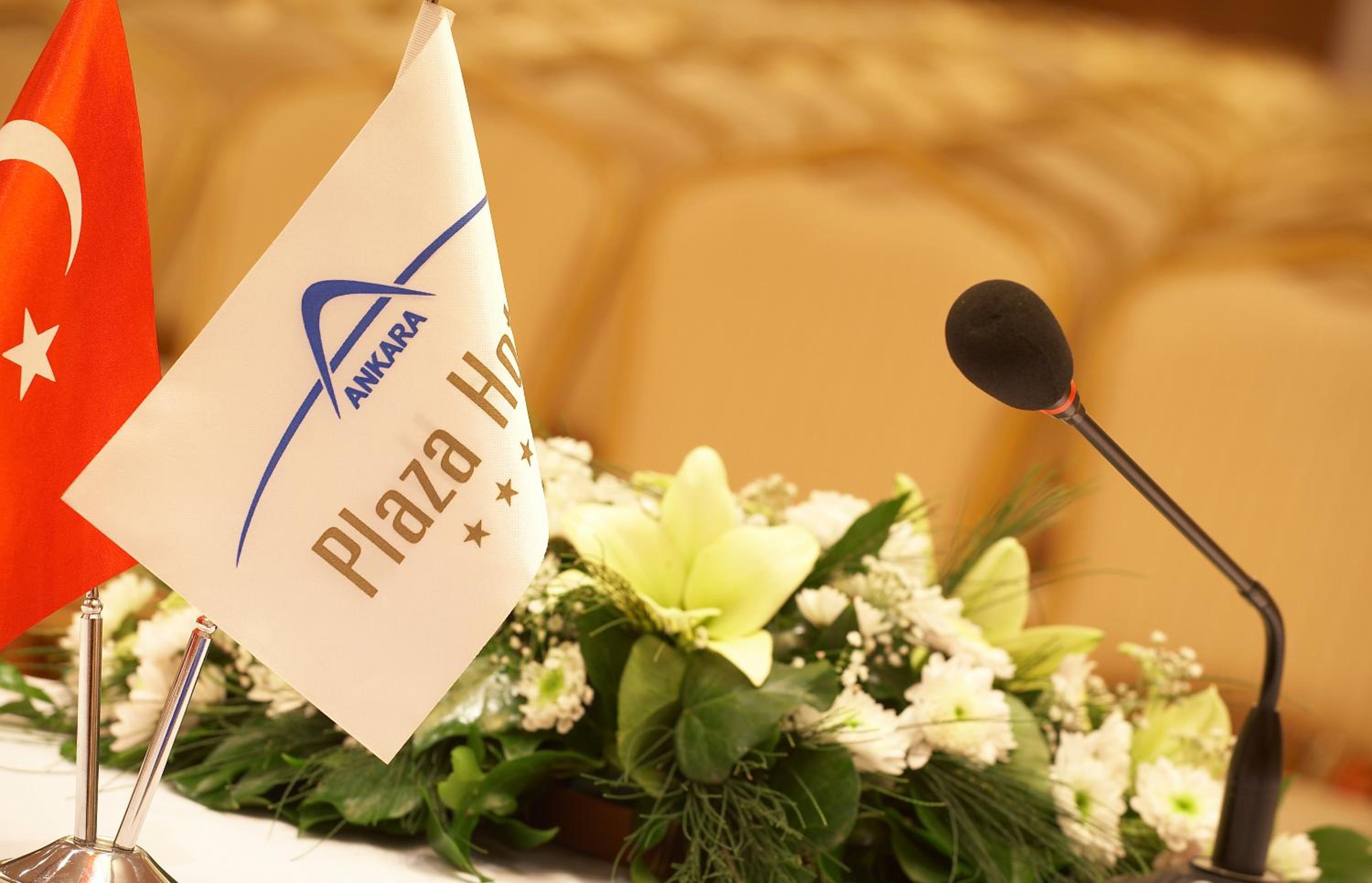 Ankara Plaza Hotel - Image 15
