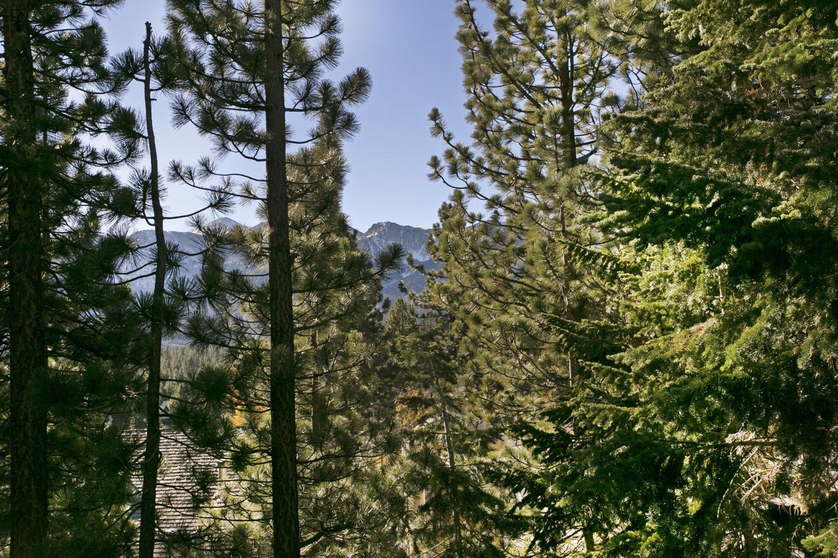 Mammoth Village Properties by 101 Great Escapes view 5