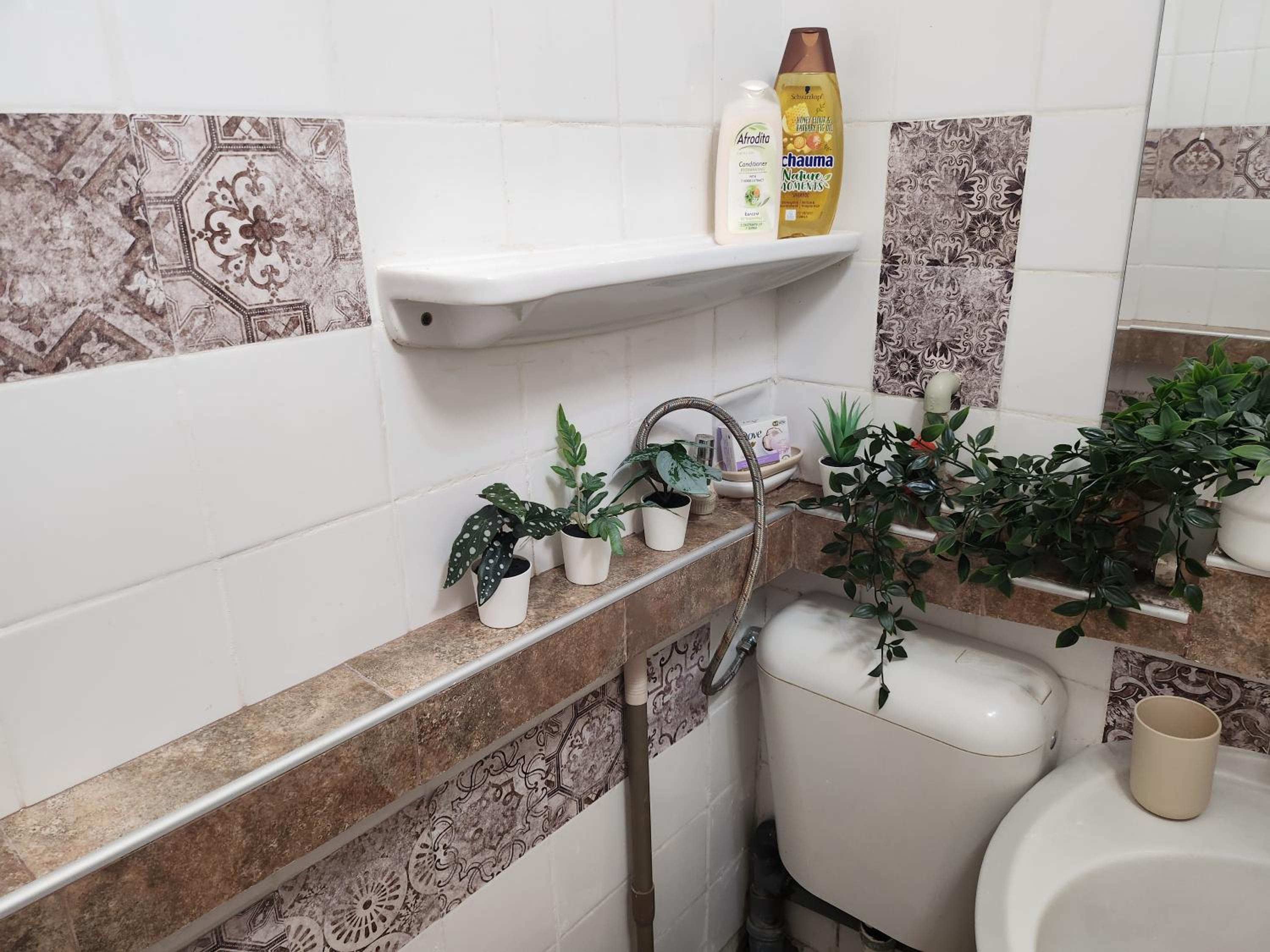 Studio 7A Cozy central oasis