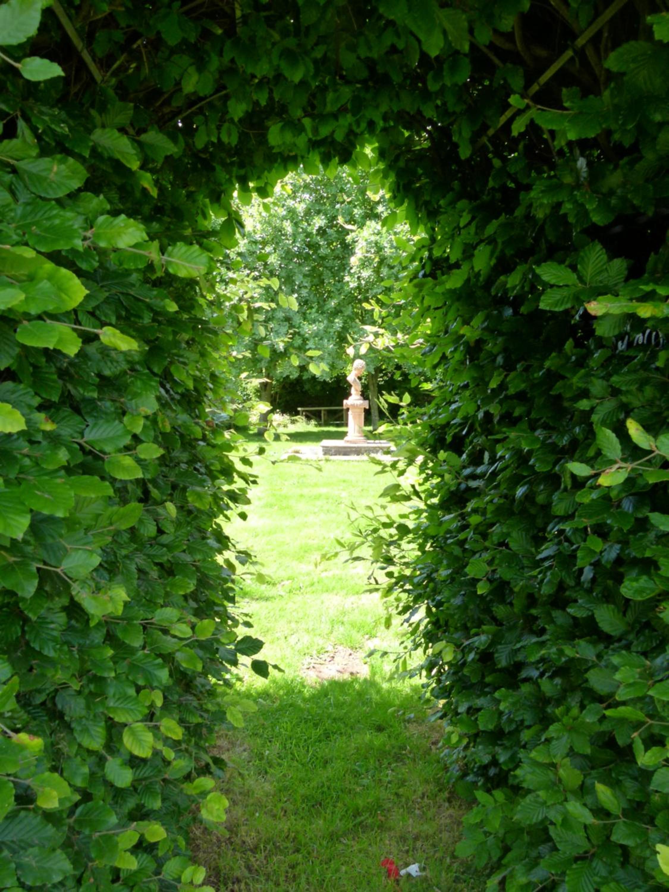 Photo 18