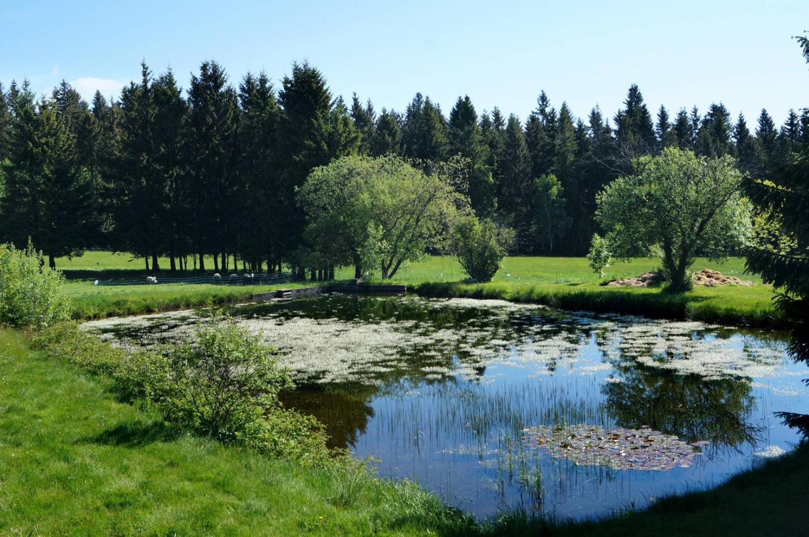 Kammbaude Neuhermsdorf