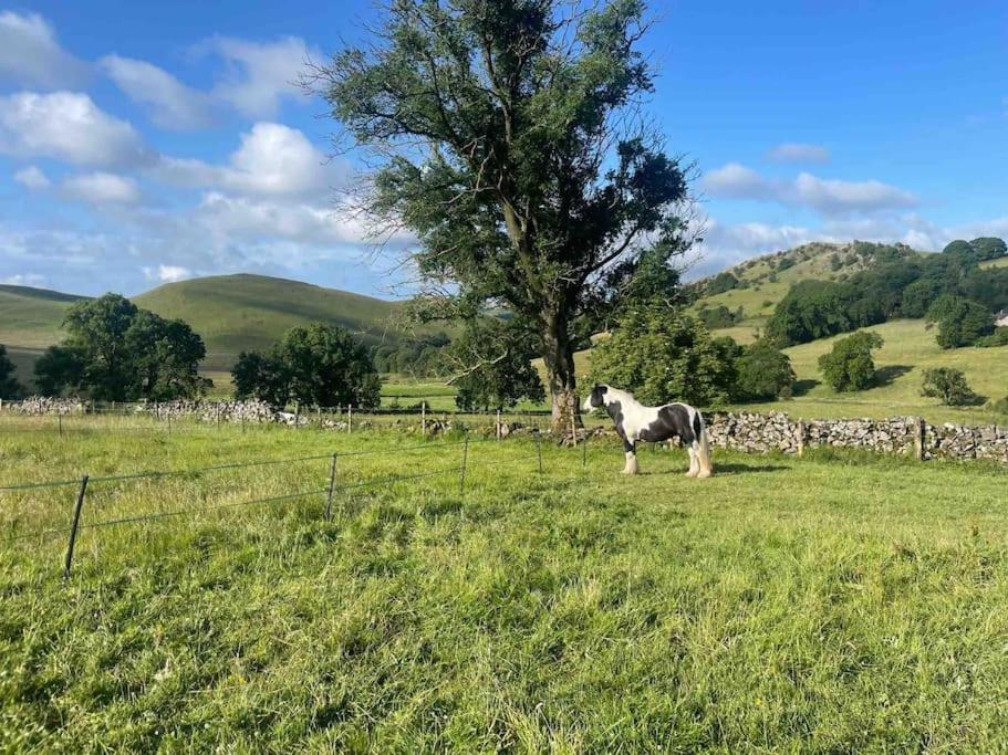 The Homestead - Modern cottage in a stunning Peak District setting view 2
