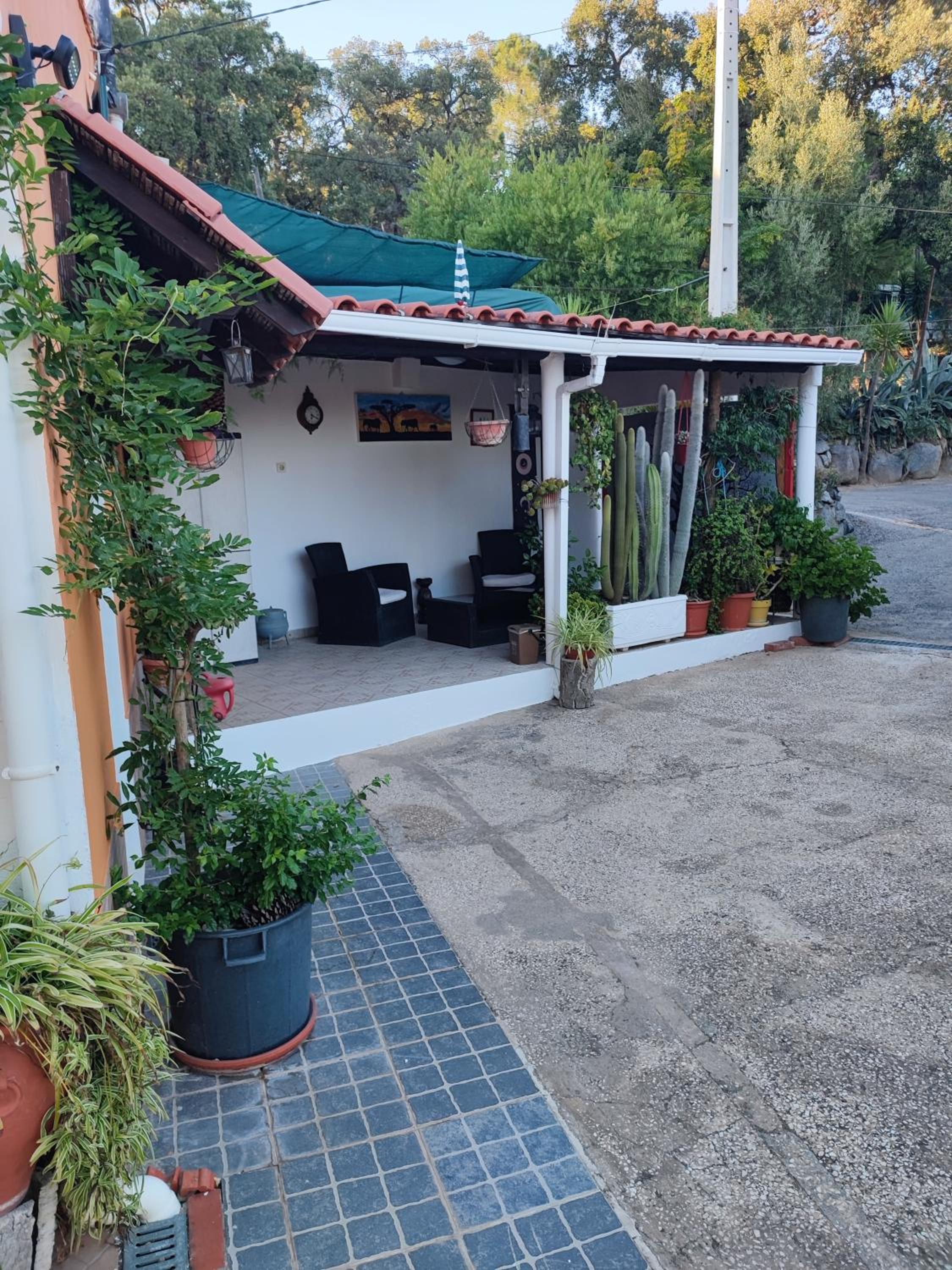 My House - Casa Charme