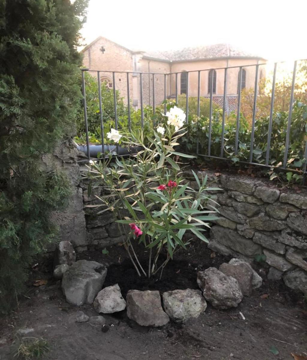 Photo 14