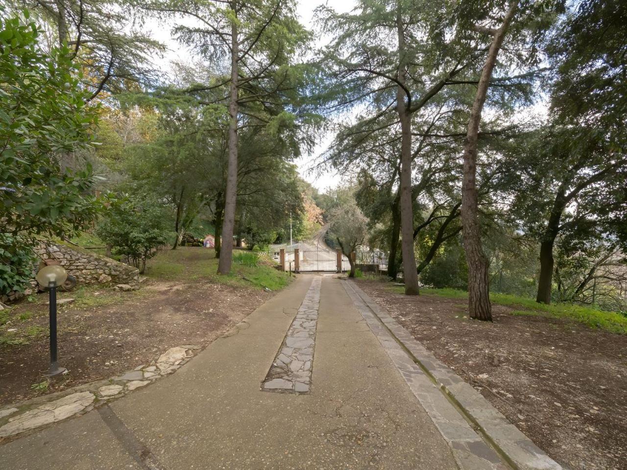 Villa Utilia into the wild