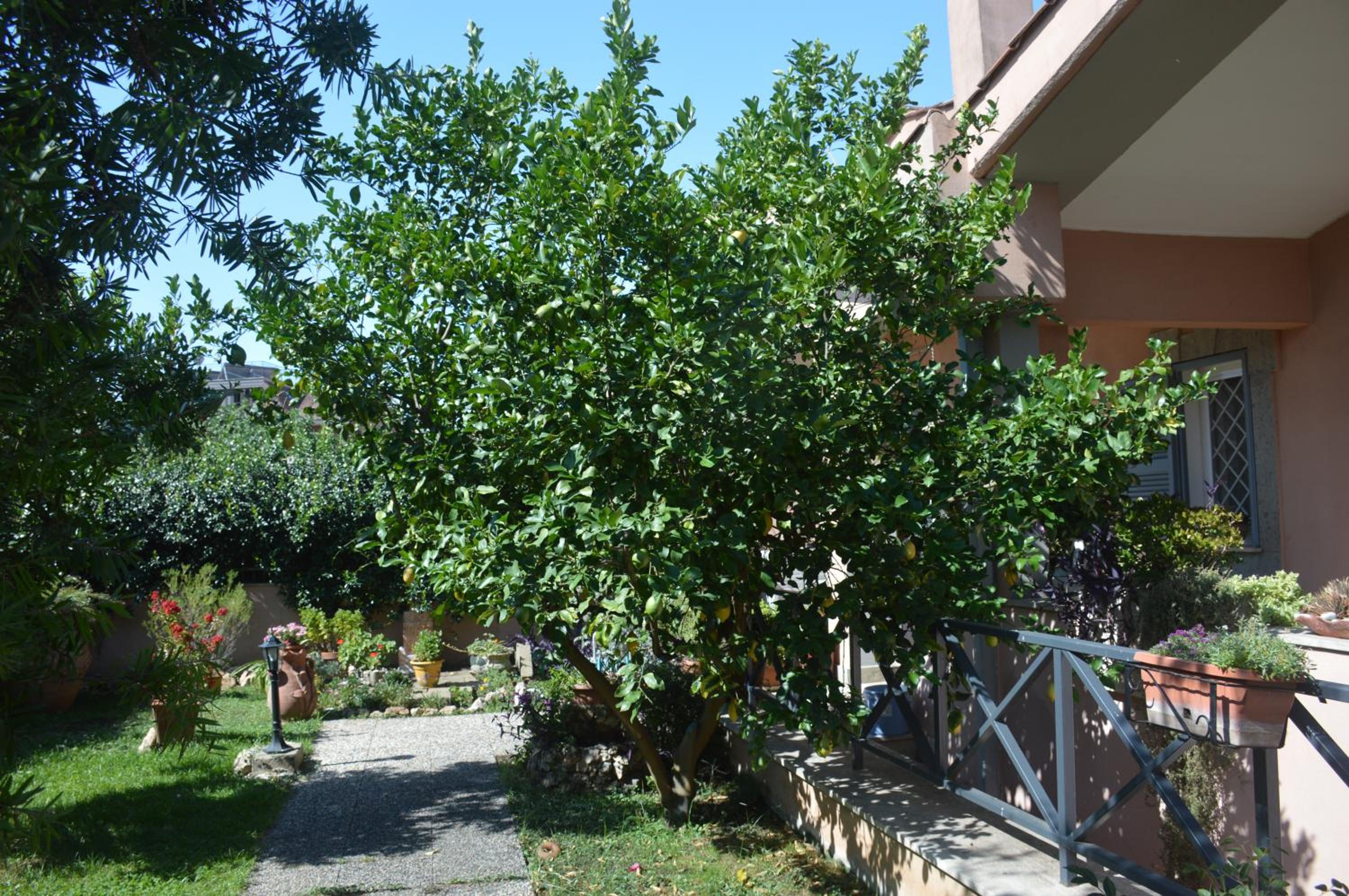 L'Oasi delle Vigne