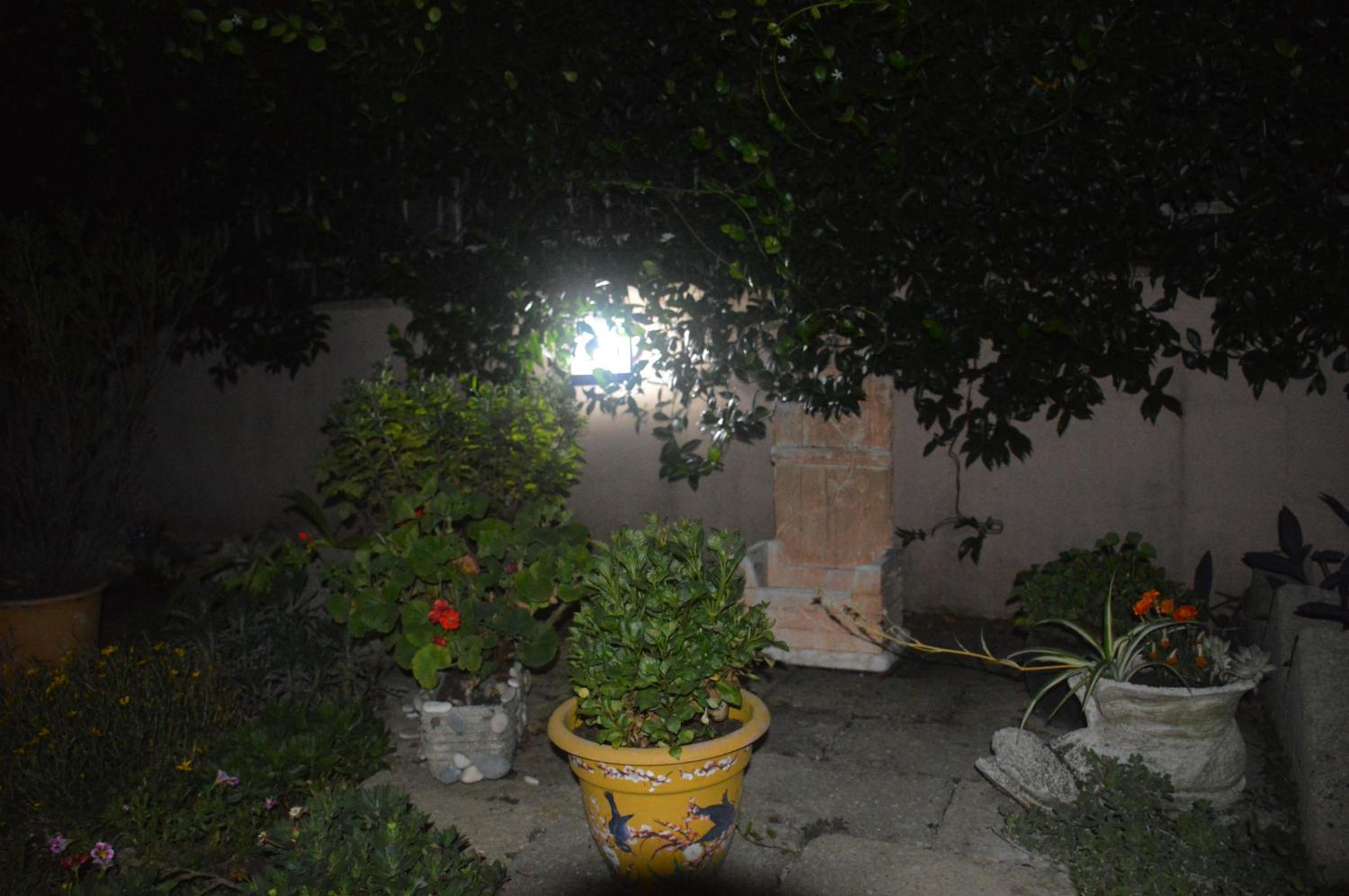 L'Oasi delle Vigne