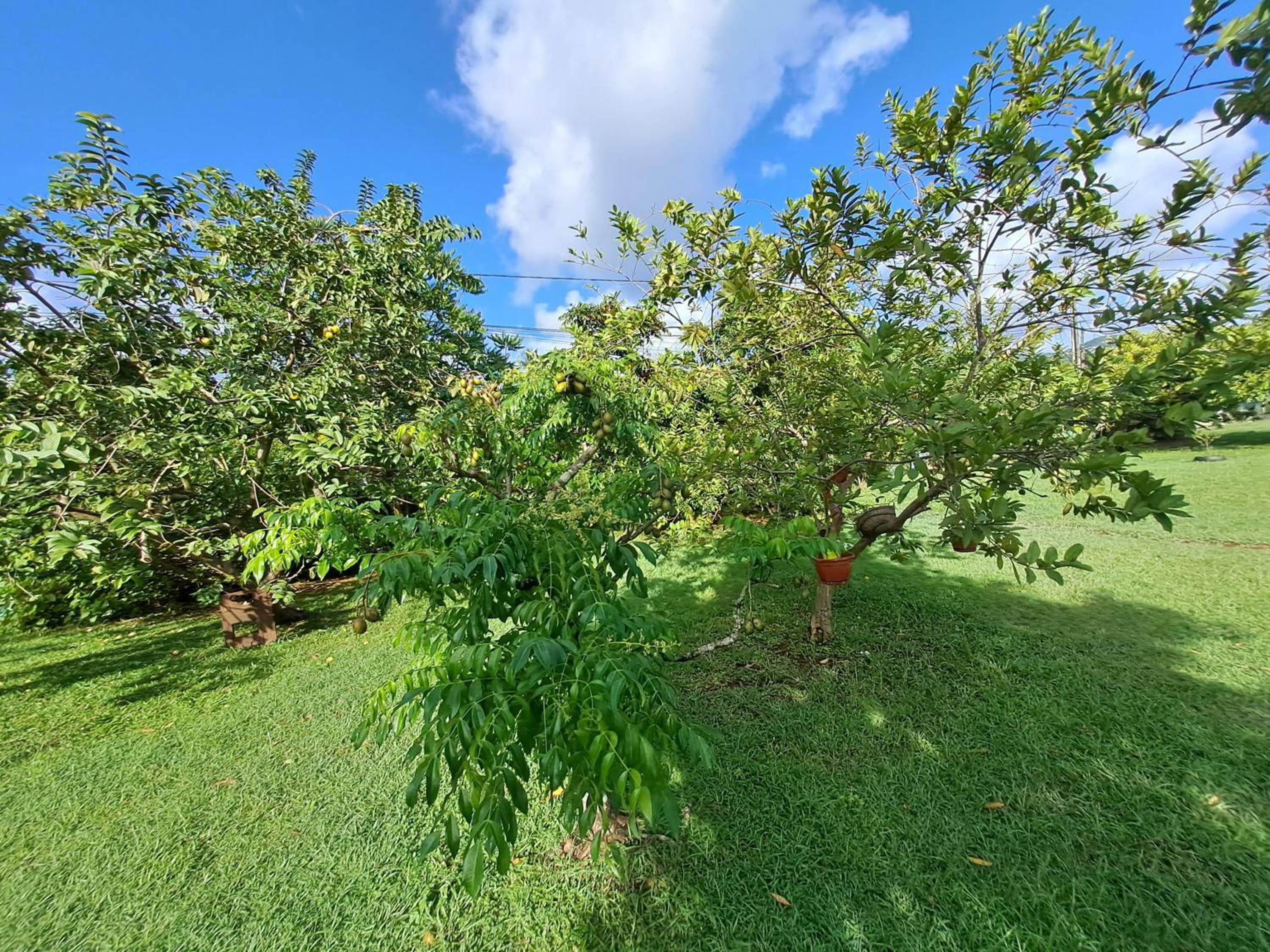 other