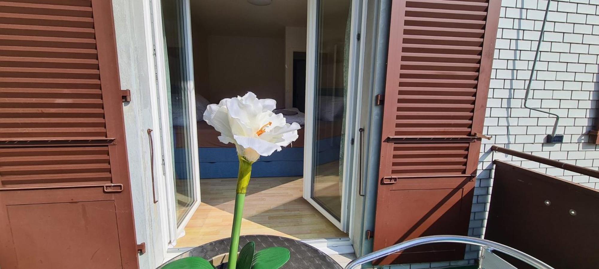 Edel Apartments Dulliken