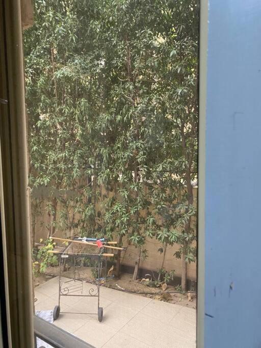 Peaceful apartment in New Cairo